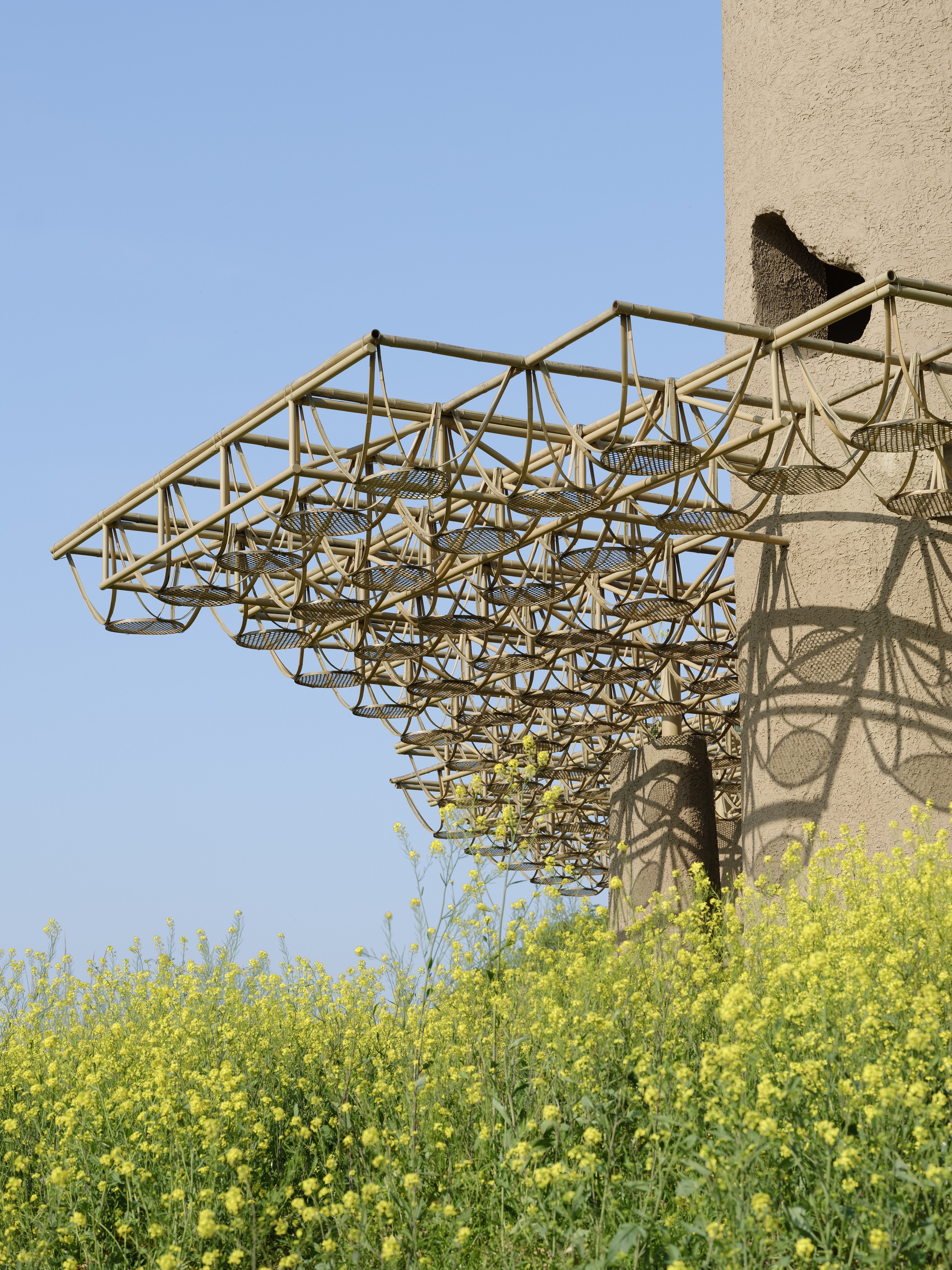 Underside view of the timber lattice canopy against a clear blue sky with yellow flowering field below