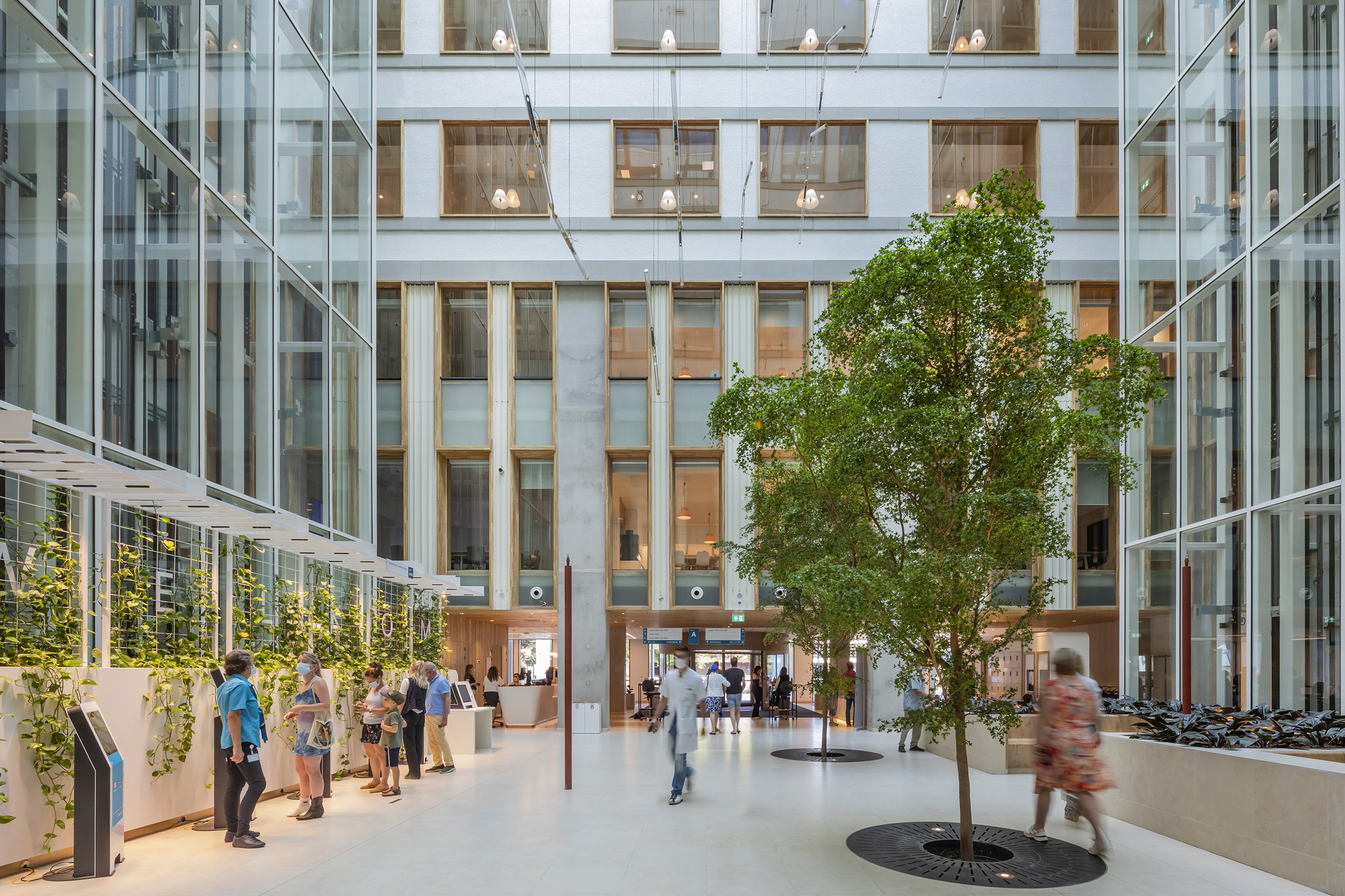 Interior atrium with central tree, planted beds, and visitors moving through the glazed space