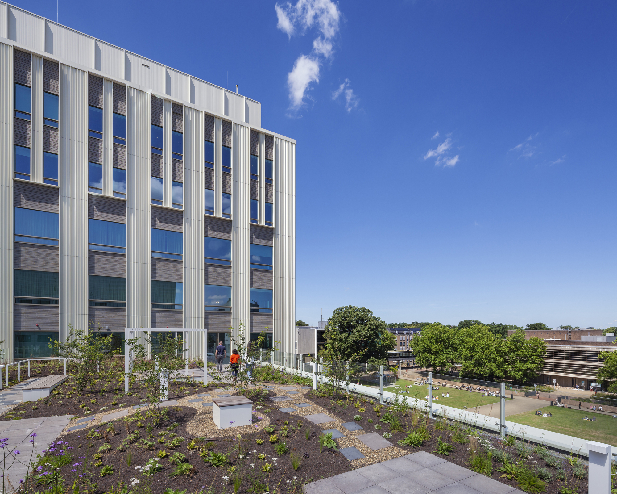 Rooftop terrace with planted beds overlooking a leafy campus quad under clear blue skies