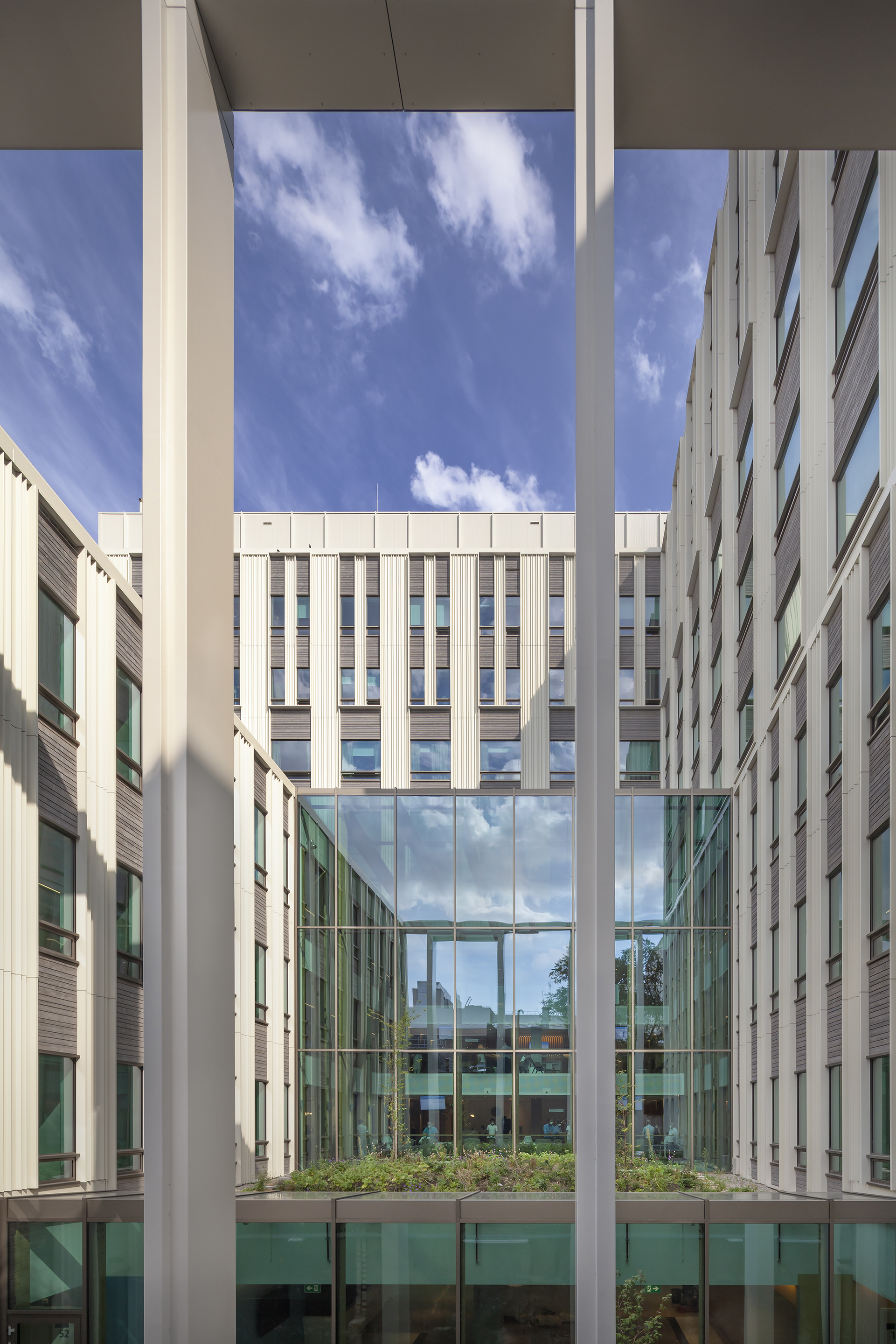 Multi-story atrium framed by vertical white fins and glass-walled bridge under afternoon sunlight