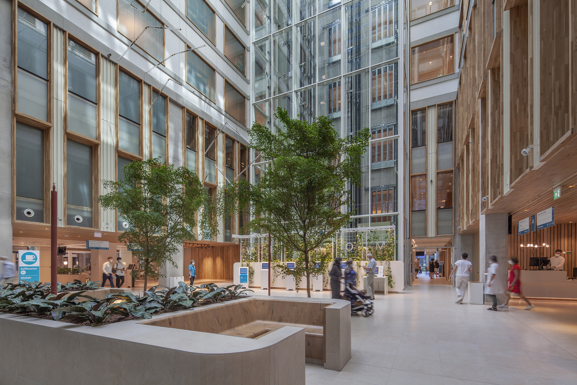 Glazed courtyard with timber-clad facades, planted trees in raised concrete planters and pedestrians passing through