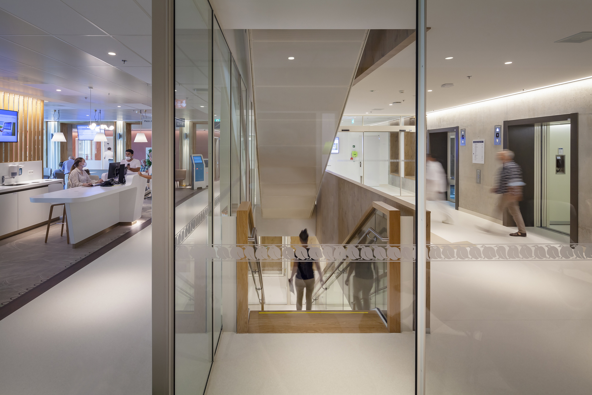 Timber staircase descending between glass partitions with people in motion near elevator banks