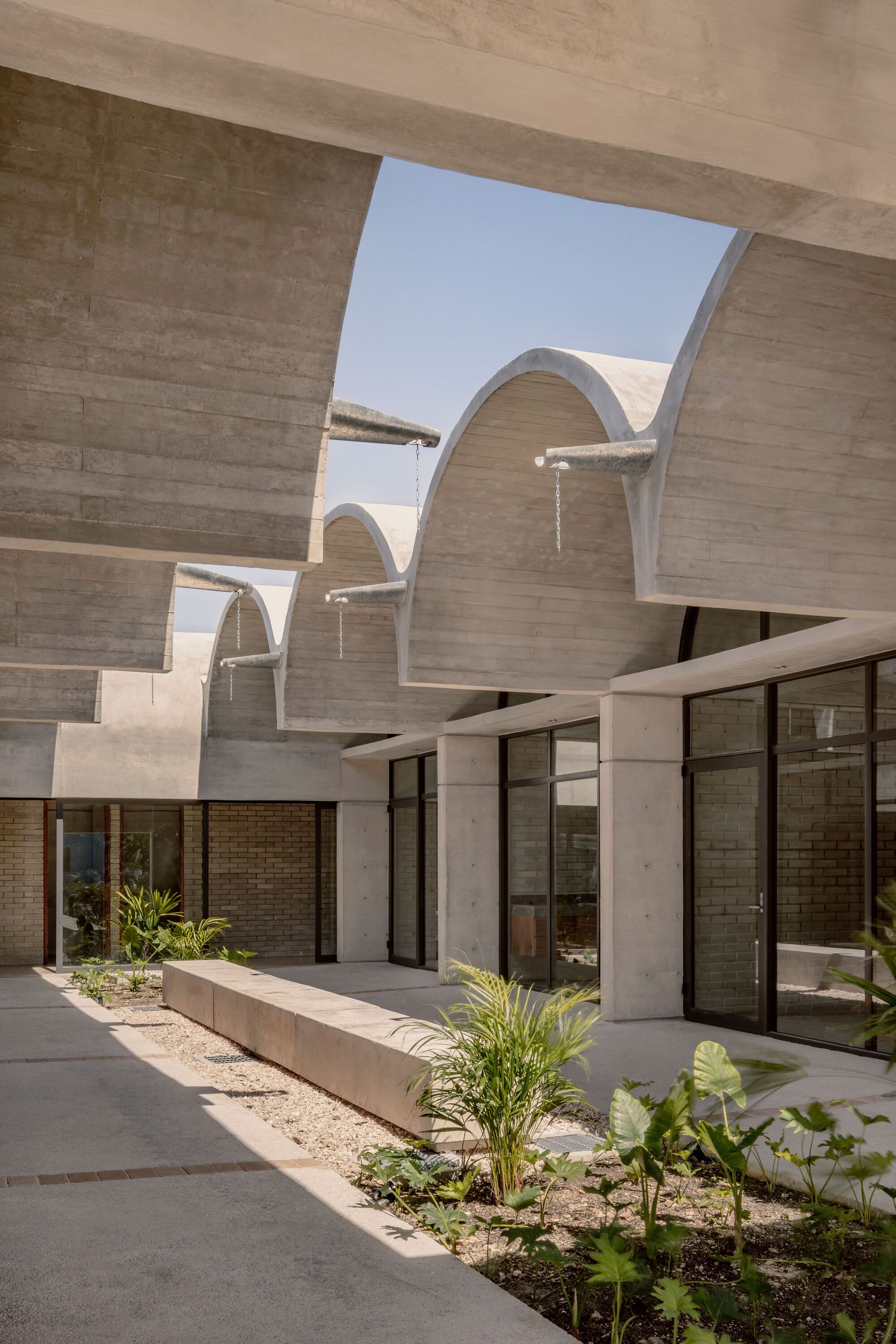Courtyard view with board-formed concrete vaults framing sky and planted beds between paved paths