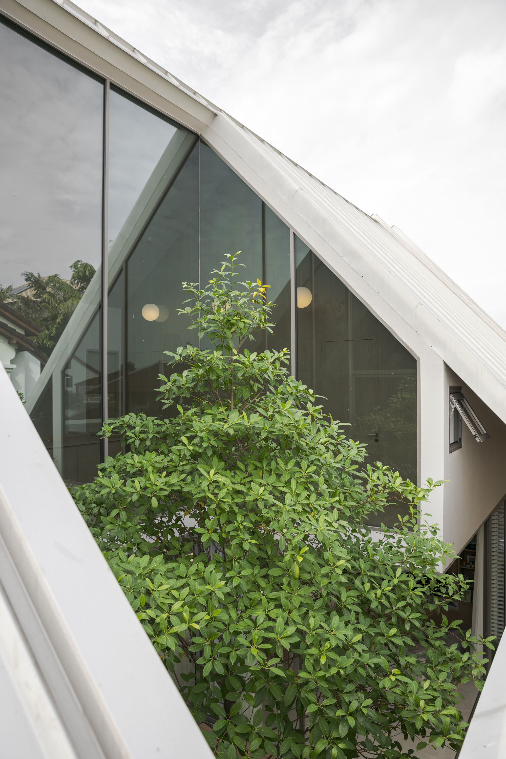 Triangular courtyard opening framing a tree against full-height glass walls under overcast skies