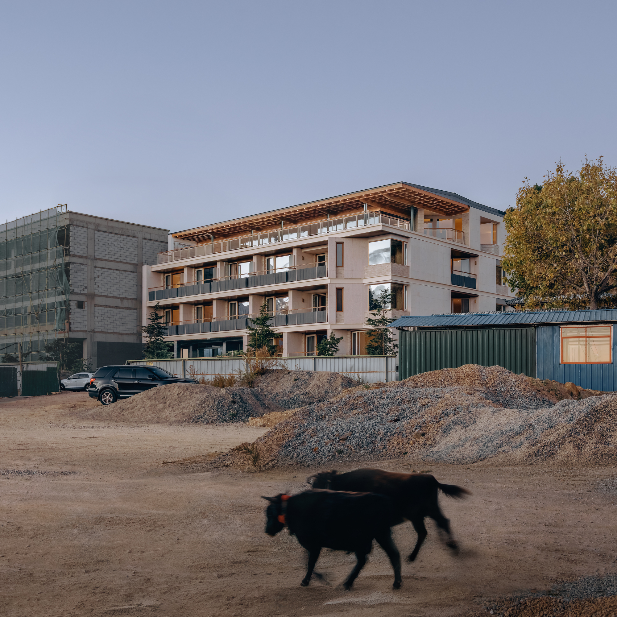 Street-level facade with recessed balconies and timber-clad top floor as a dog crosses the construction site