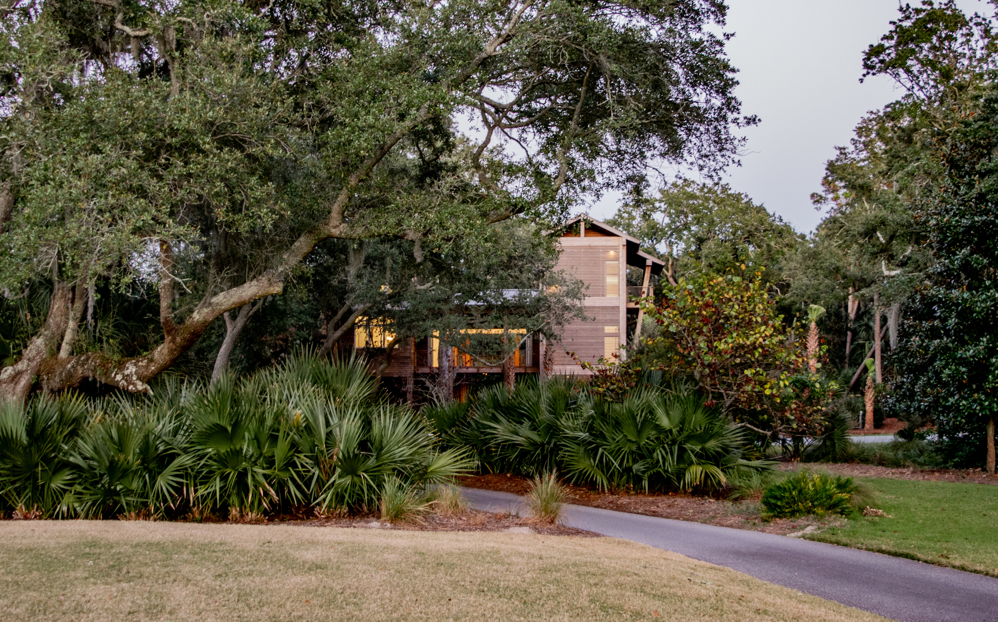 View from lawn through palmettos and live oaks toward the elevated timber structure at twilight