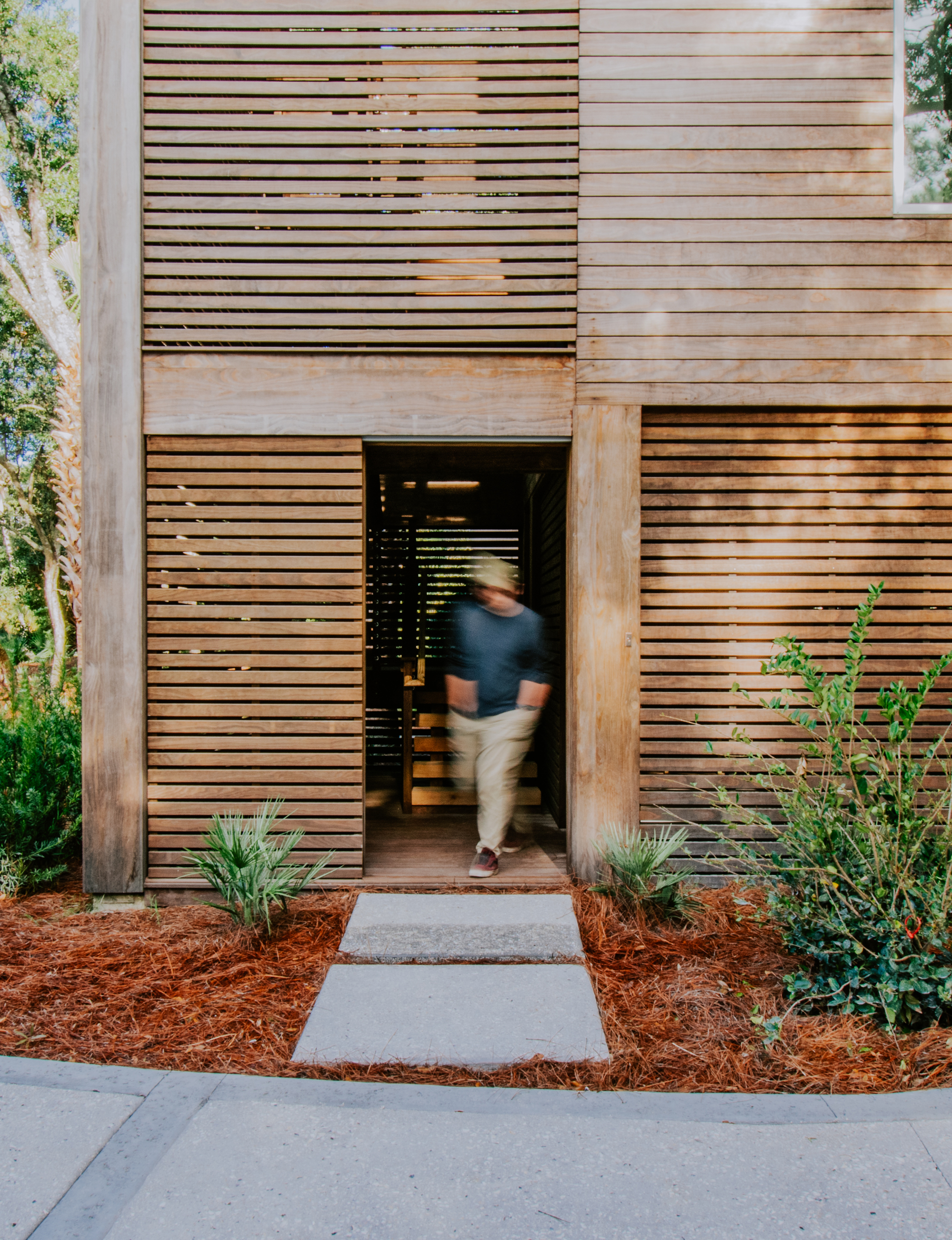 Entry threshold with horizontal slatted timber screen and figure in motion crossing planted beds
