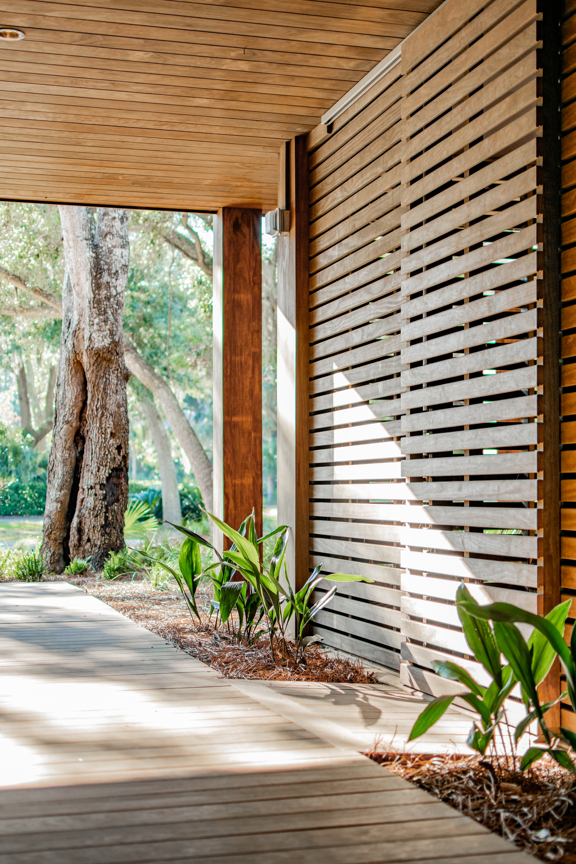 Corner detail of the horizontal timber screen wall with planted bed and filtered sunlight