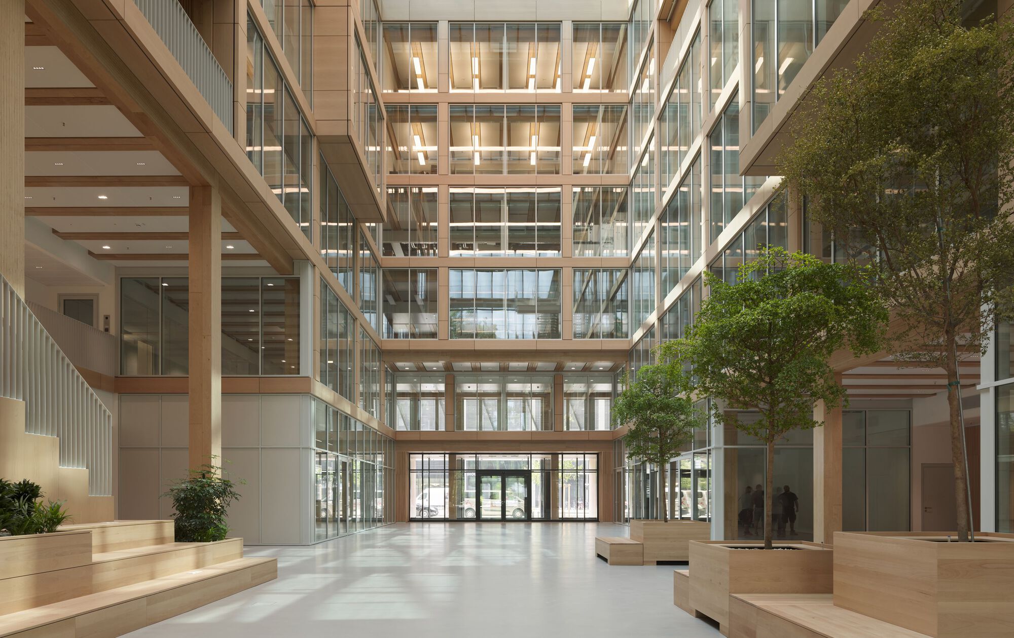 Glazed atrium with timber-lined balconies and a planted tree centered on the polished floor
