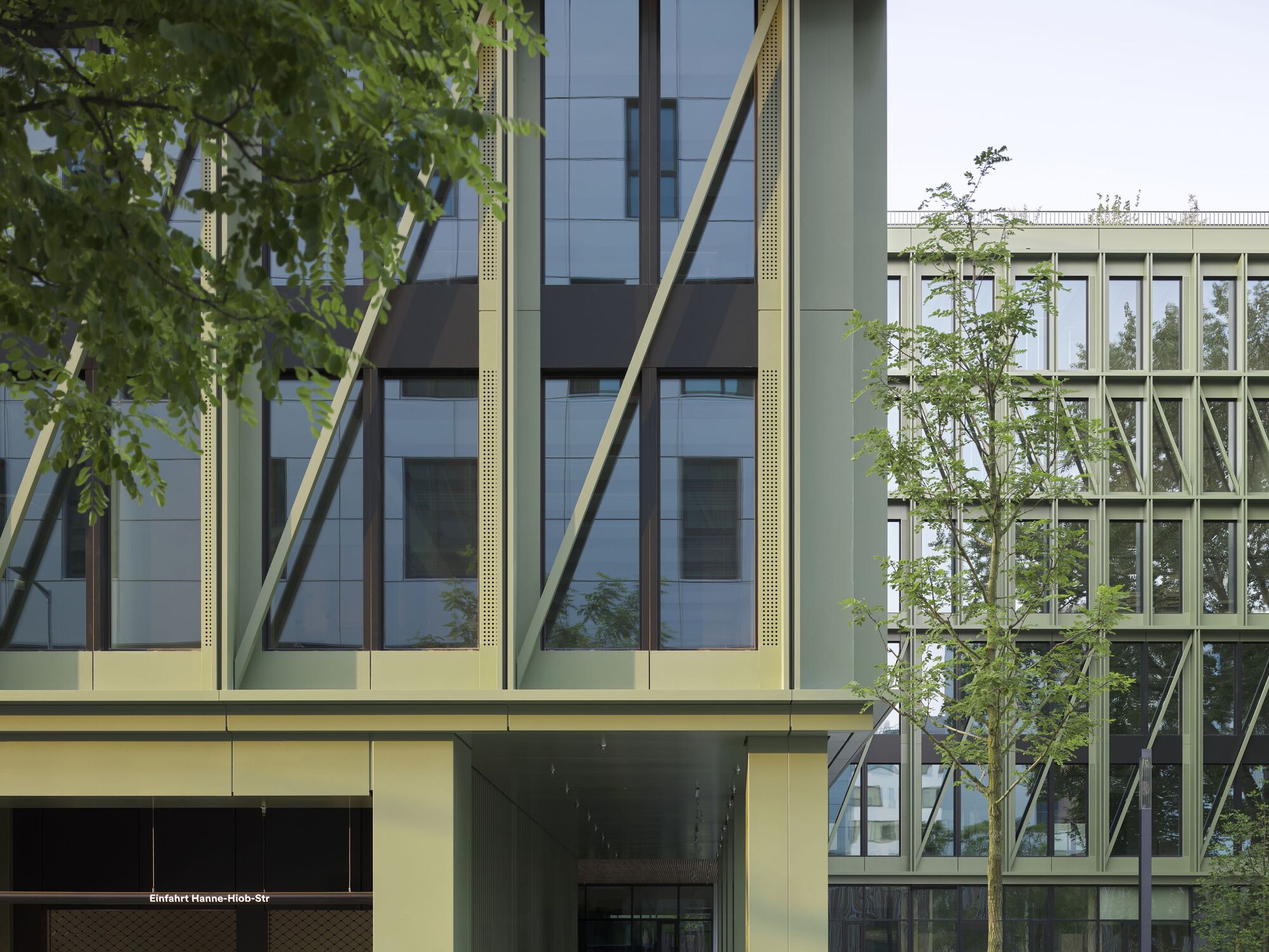 Facade detail showing diagonal yellow bracing columns and young street trees against a white sky