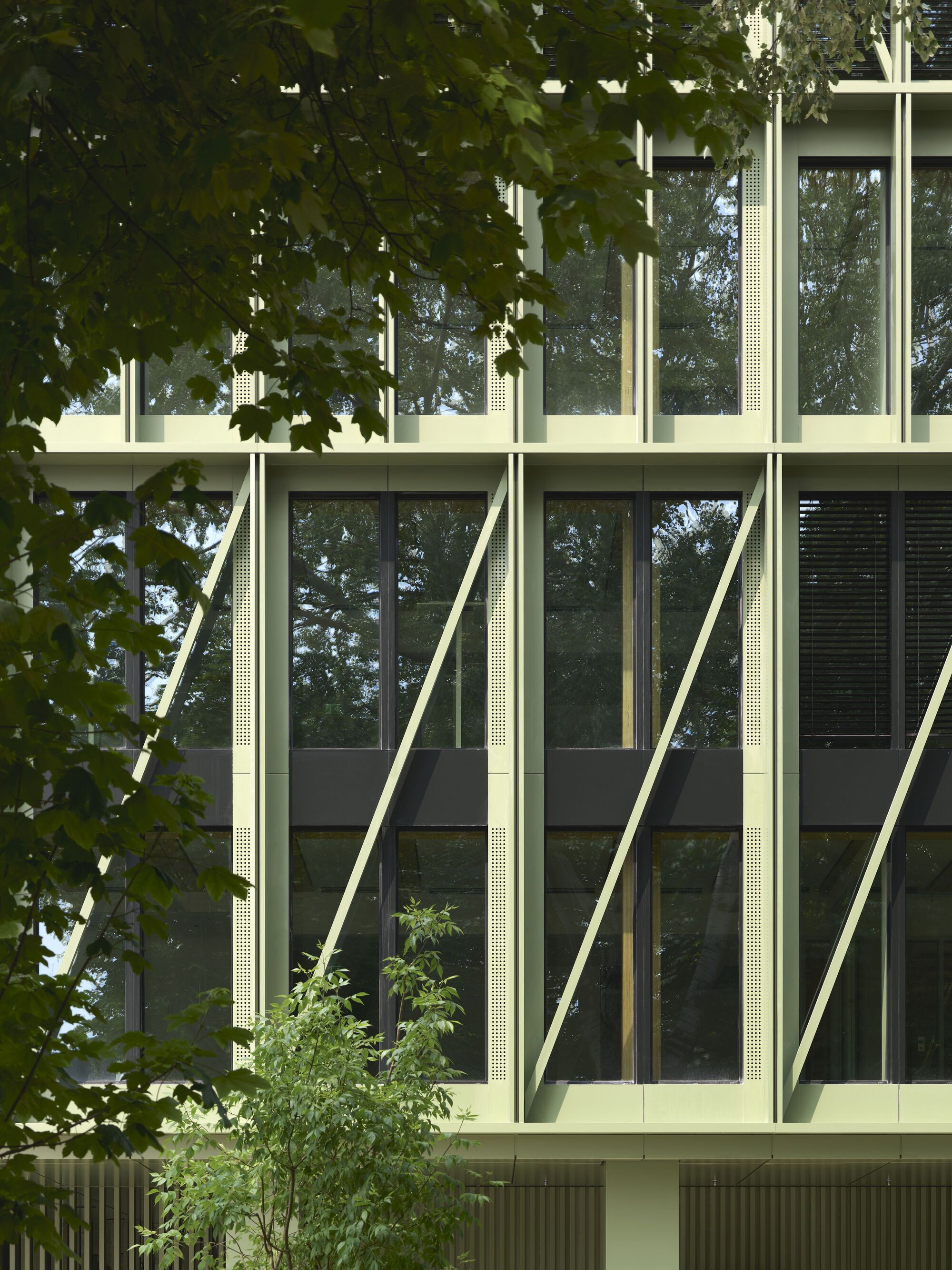 Close-up of the pale green diagonal bracing and perforated metal panels framed by overhanging tree branches