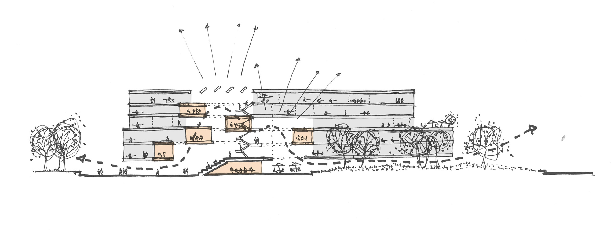 Section drawing showing the terraced interior levels with rooftop vegetation and annotated wind flows