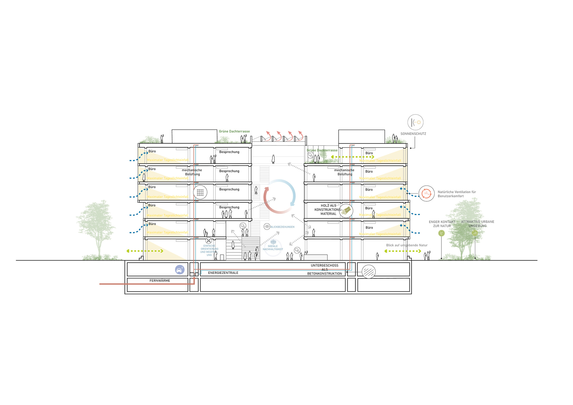 Building section drawing with annotated program spaces and flanking trees at grade level