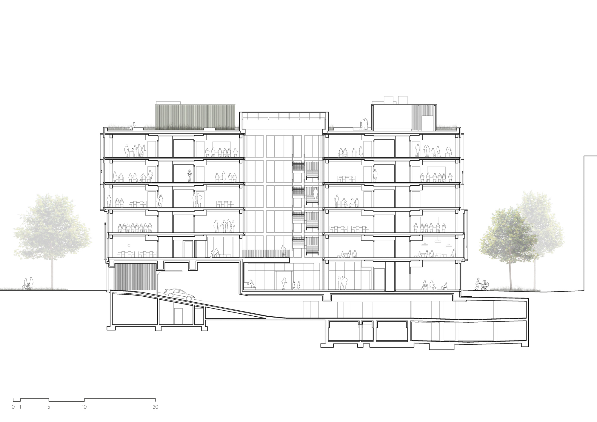 Section drawing through multi-story building revealing central atrium and sloping underground levels with flanking trees