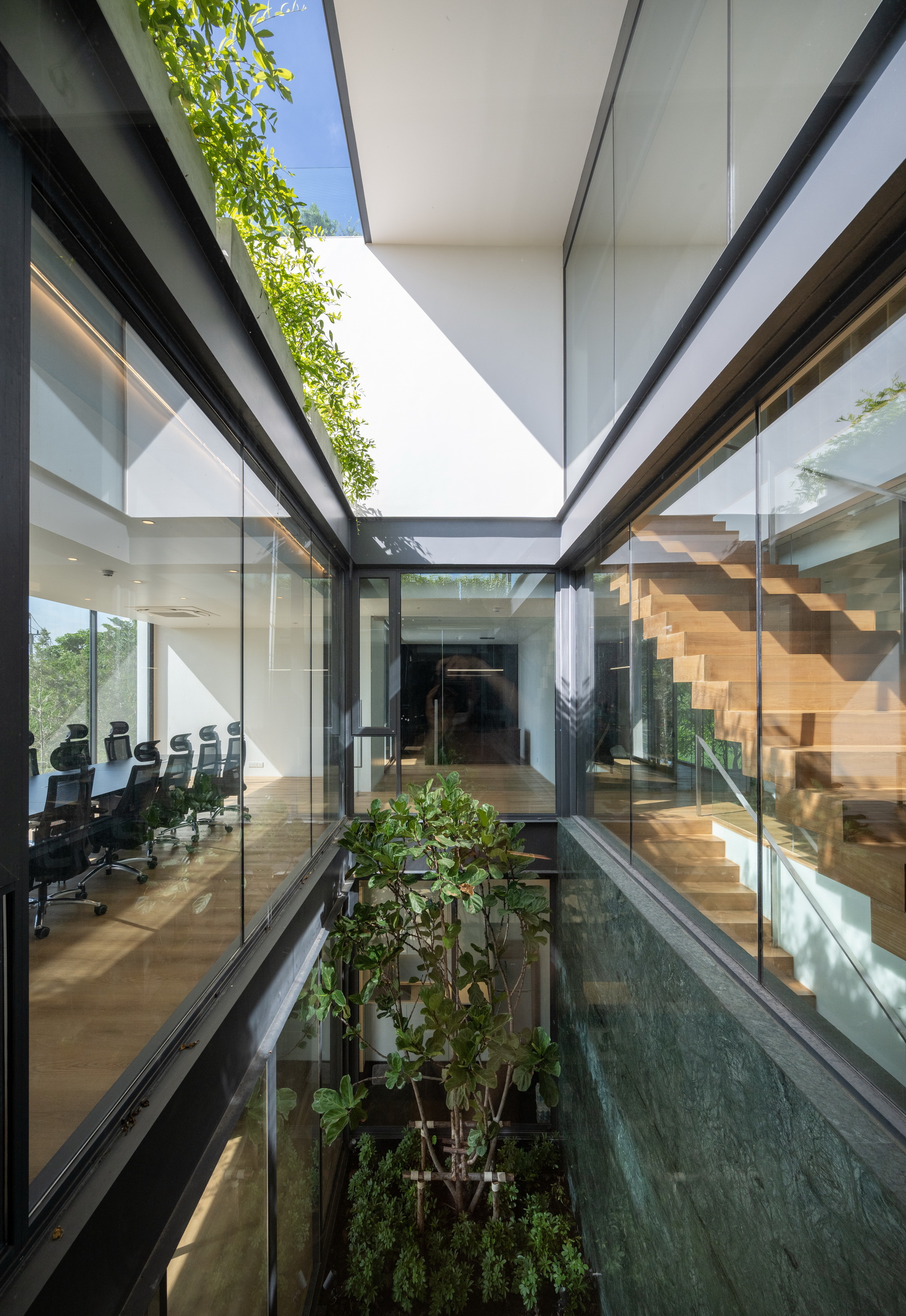 Interior courtyard with planted bed and cascading greenery beneath a glass skylight and timber staircase