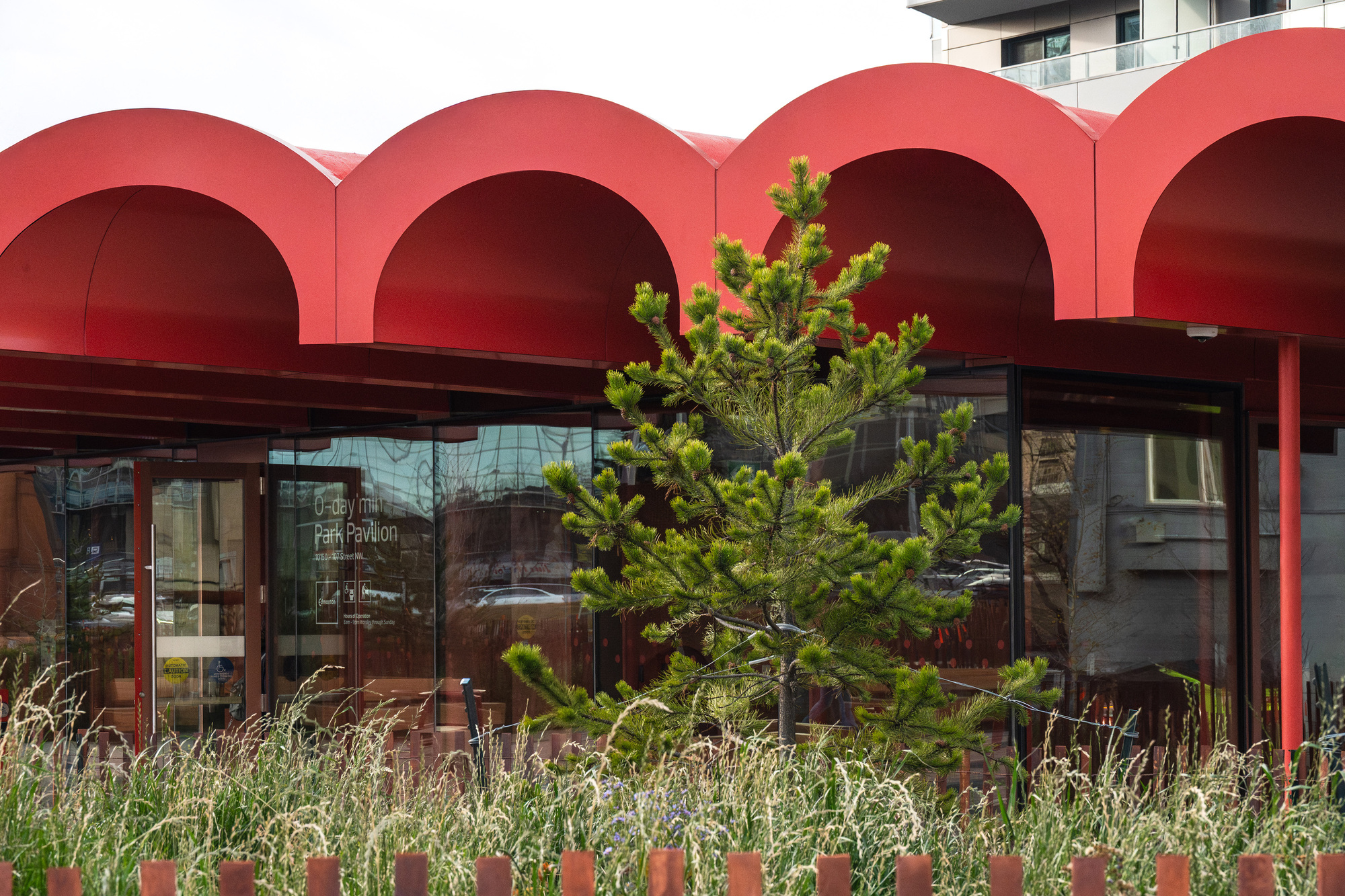 Glazed facade below the arched roof with a young pine and grasses in the foreground