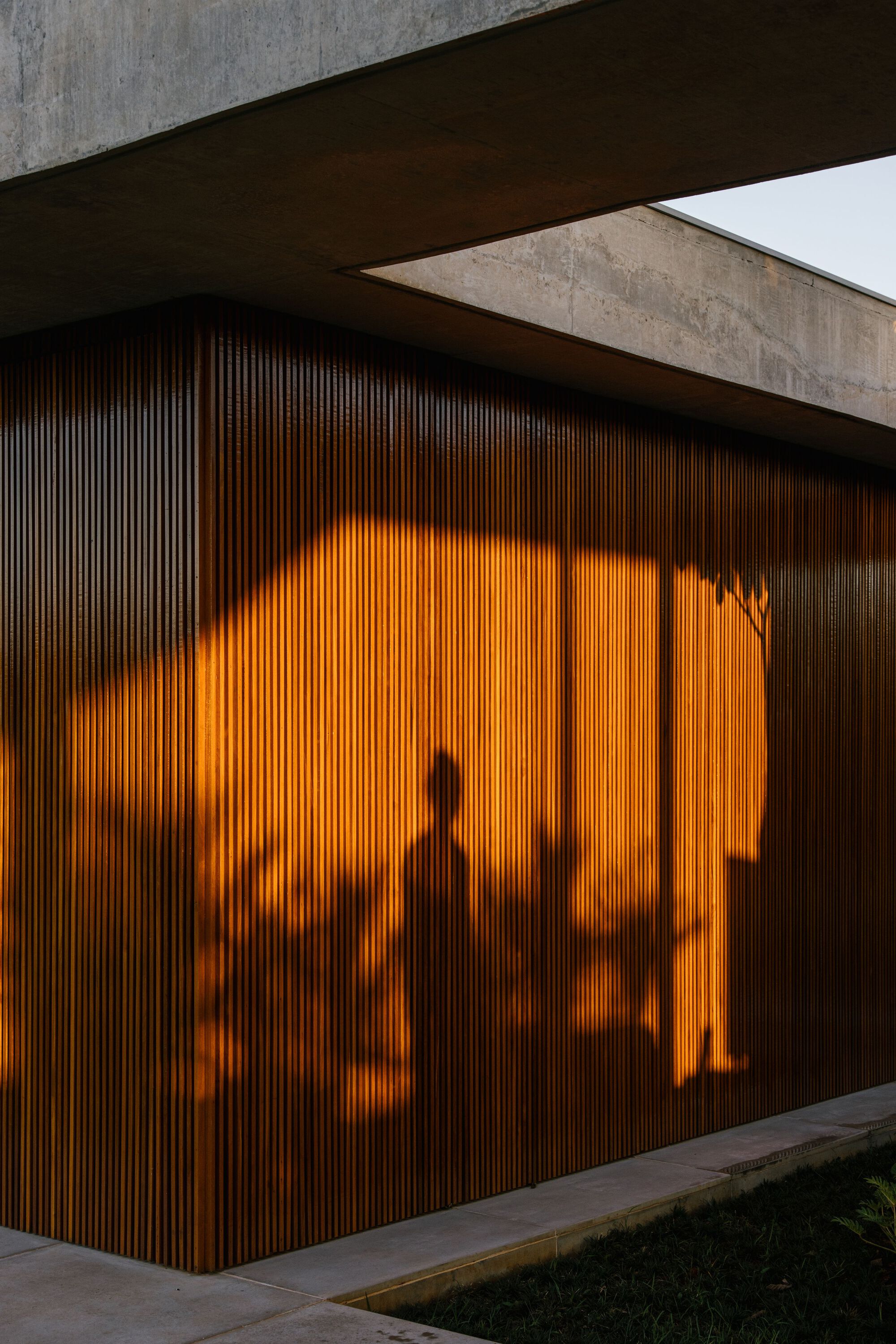 Vertical timber screen wall with silhouettes of interior figures illuminated by warm light at dusk