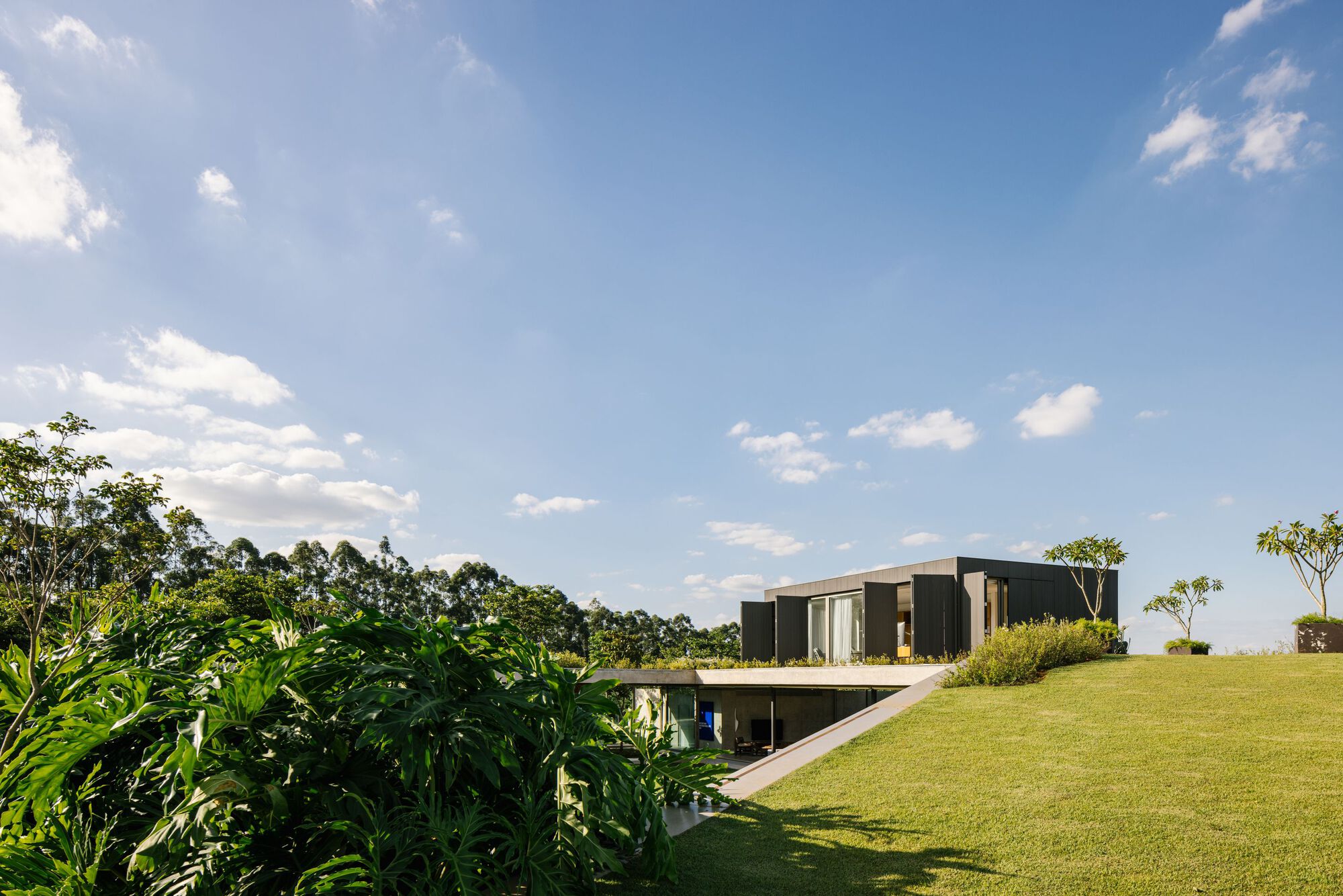 Grass-covered roof extending over the lower level beside tropical planted beds