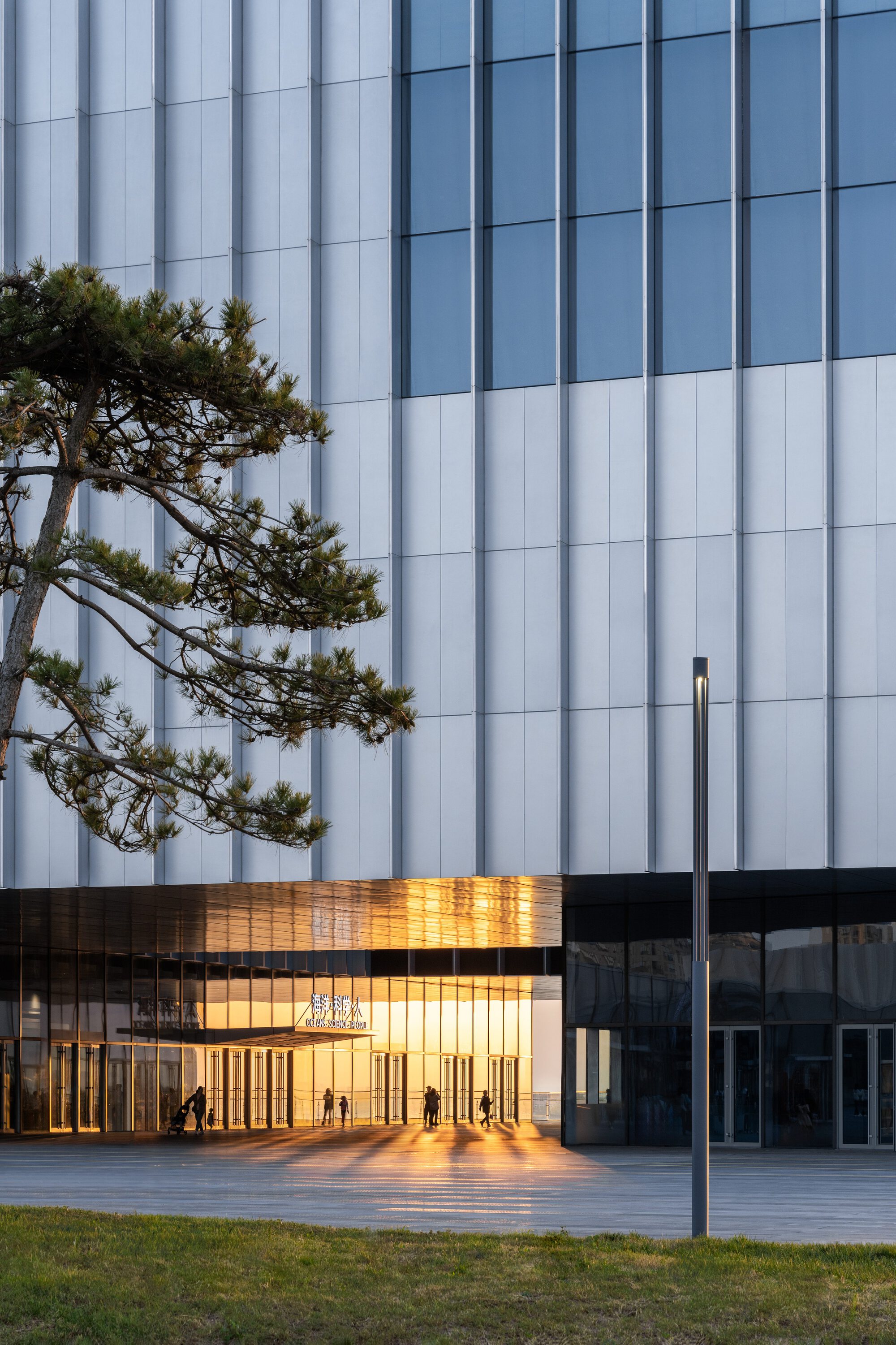 Illuminated glass entrance pavilion with vertical bronze fins at dusk beside pine tree and white tower facade