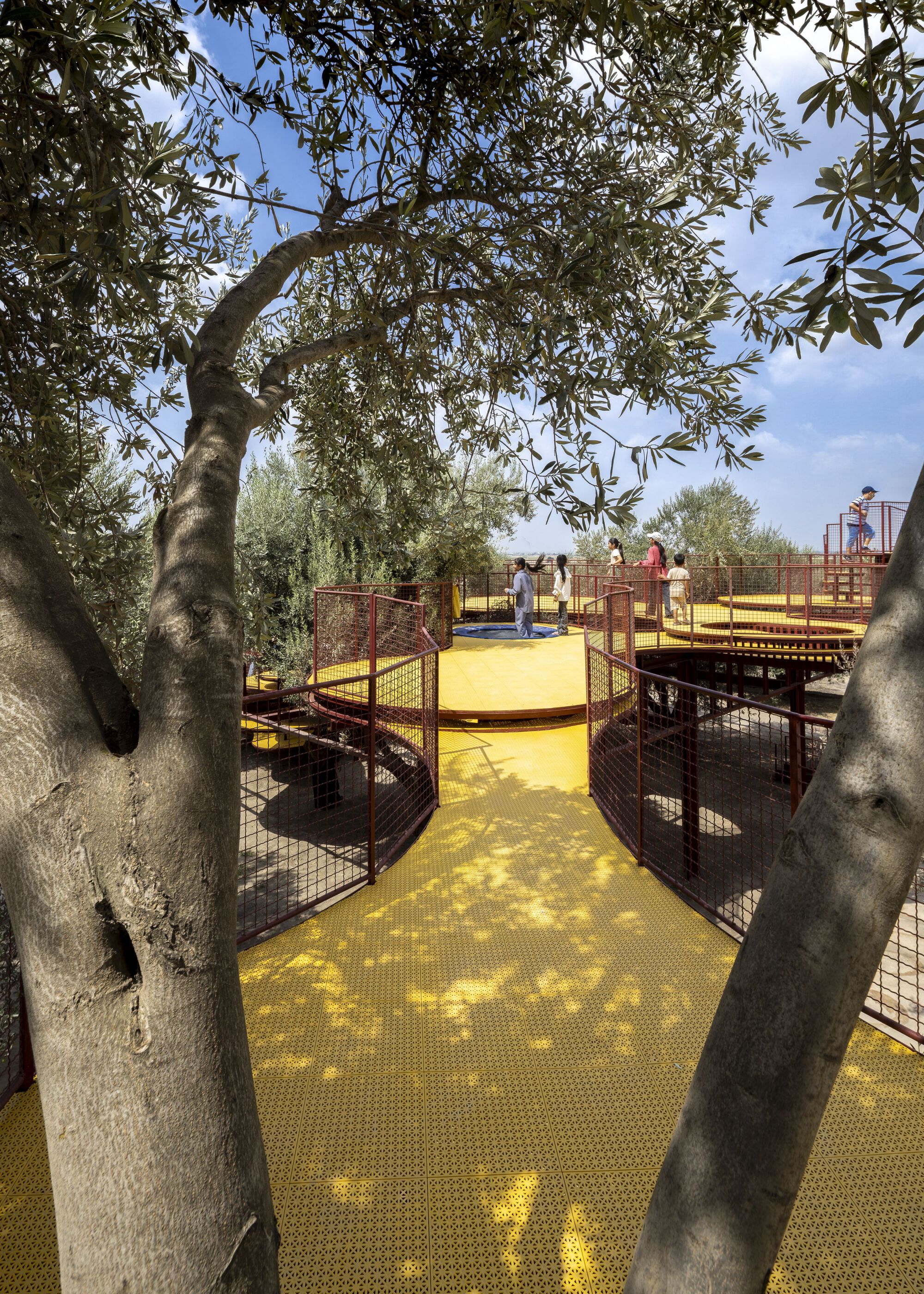 View through olive tree trunks toward yellow walkways with mesh railings and visitors in sunlight