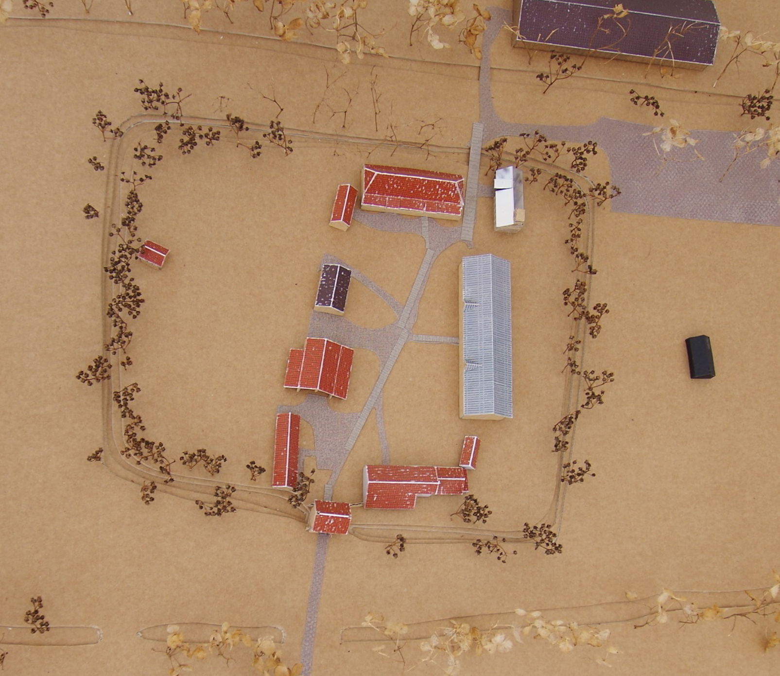 Aerial view of farm buildings arranged along paths in a sandy clearing with scattered trees