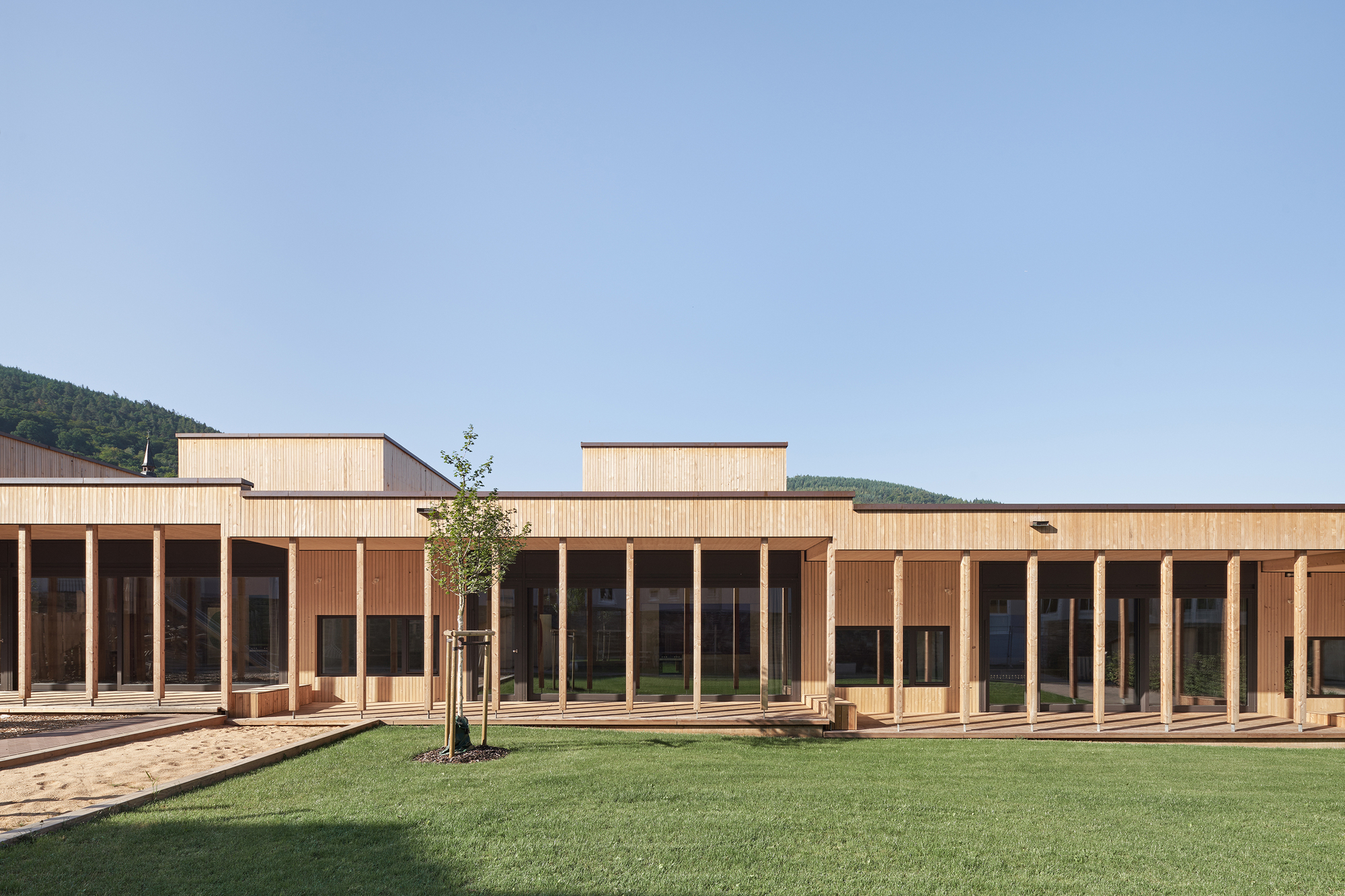 Courtyard view of the timber-clad volumes with columned porticos and a young tree on lawn