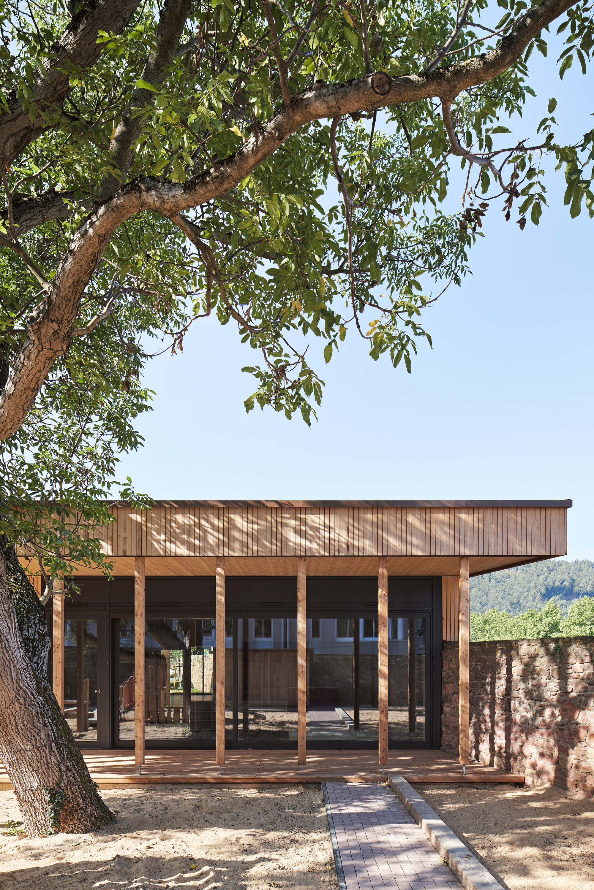 Covered portico with timber columns and ceiling below overhanging tree branches and blue sky