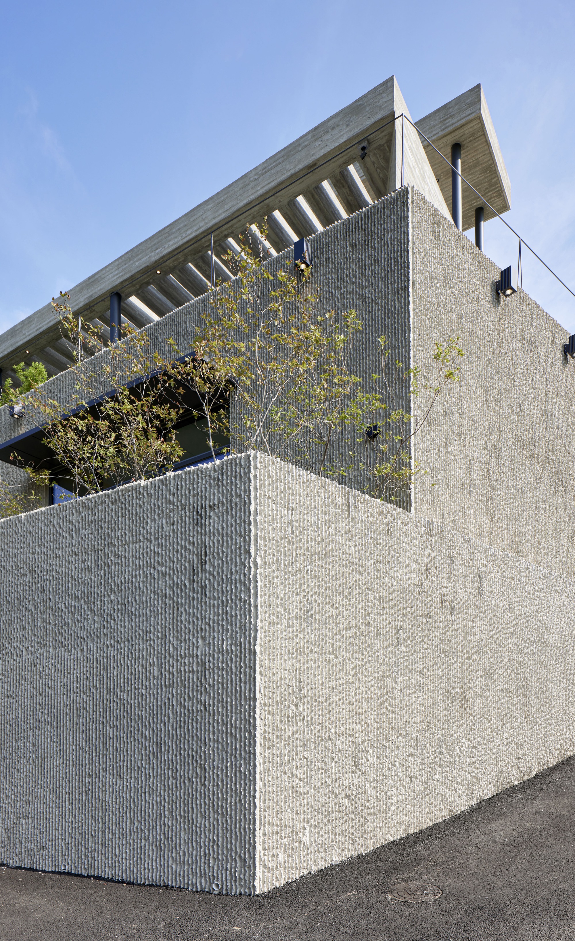 Corner detail of the textured concrete walls with exposed roof overhang and young tree