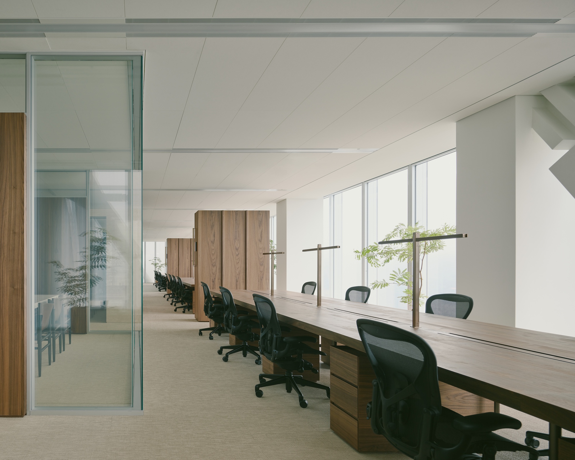 Row of timber desks along full-height windows with glazed partition and walnut storage units below