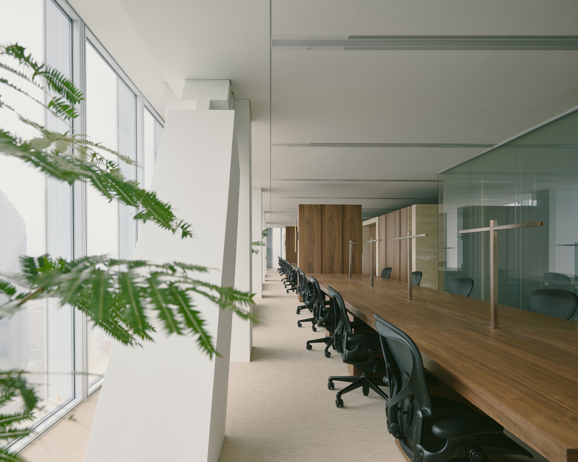 Long workspace with timber desks and fern branches in foreground near window wall and columns