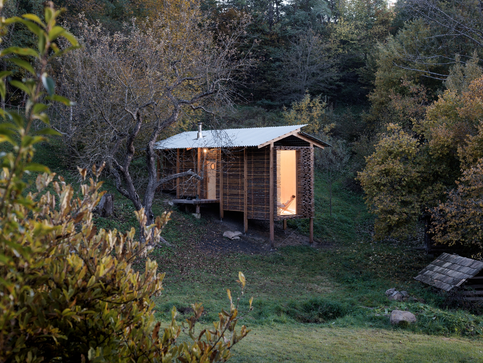 Elevated cabin with corrugated metal roof and timber slat screen nestled among autumn trees