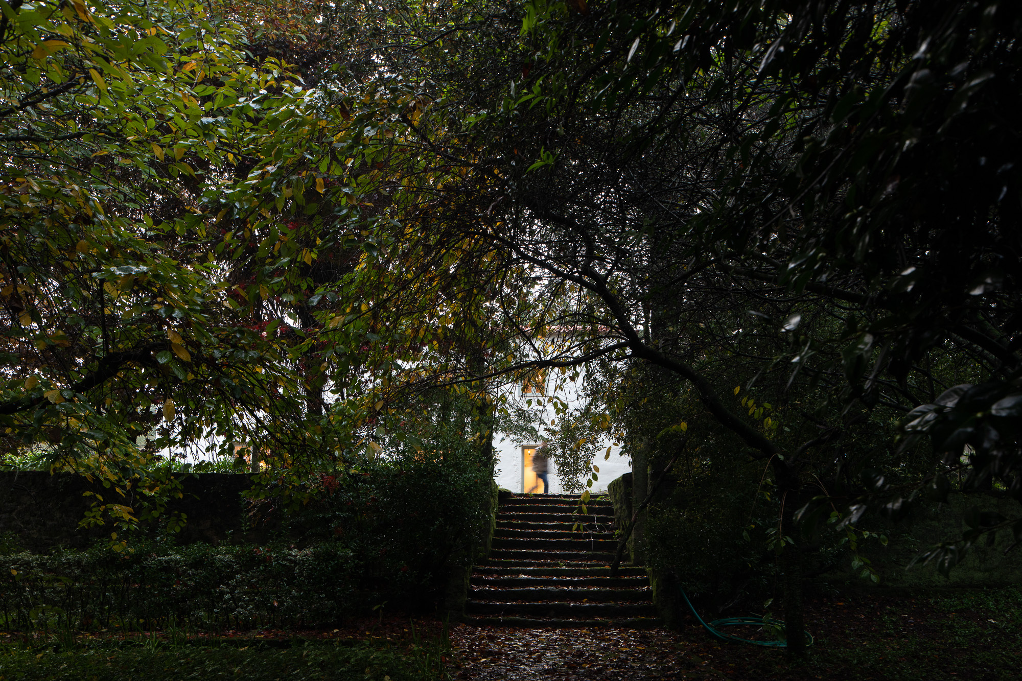 Stone staircase ascending through dense foliage toward an illuminated doorway at dusk