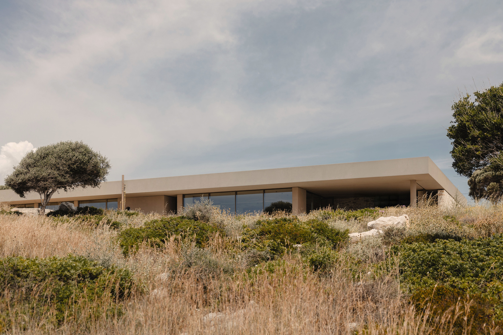 Concrete roof plane cantilevering over recessed glazing and terraces surrounded by dry grasses and olive trees