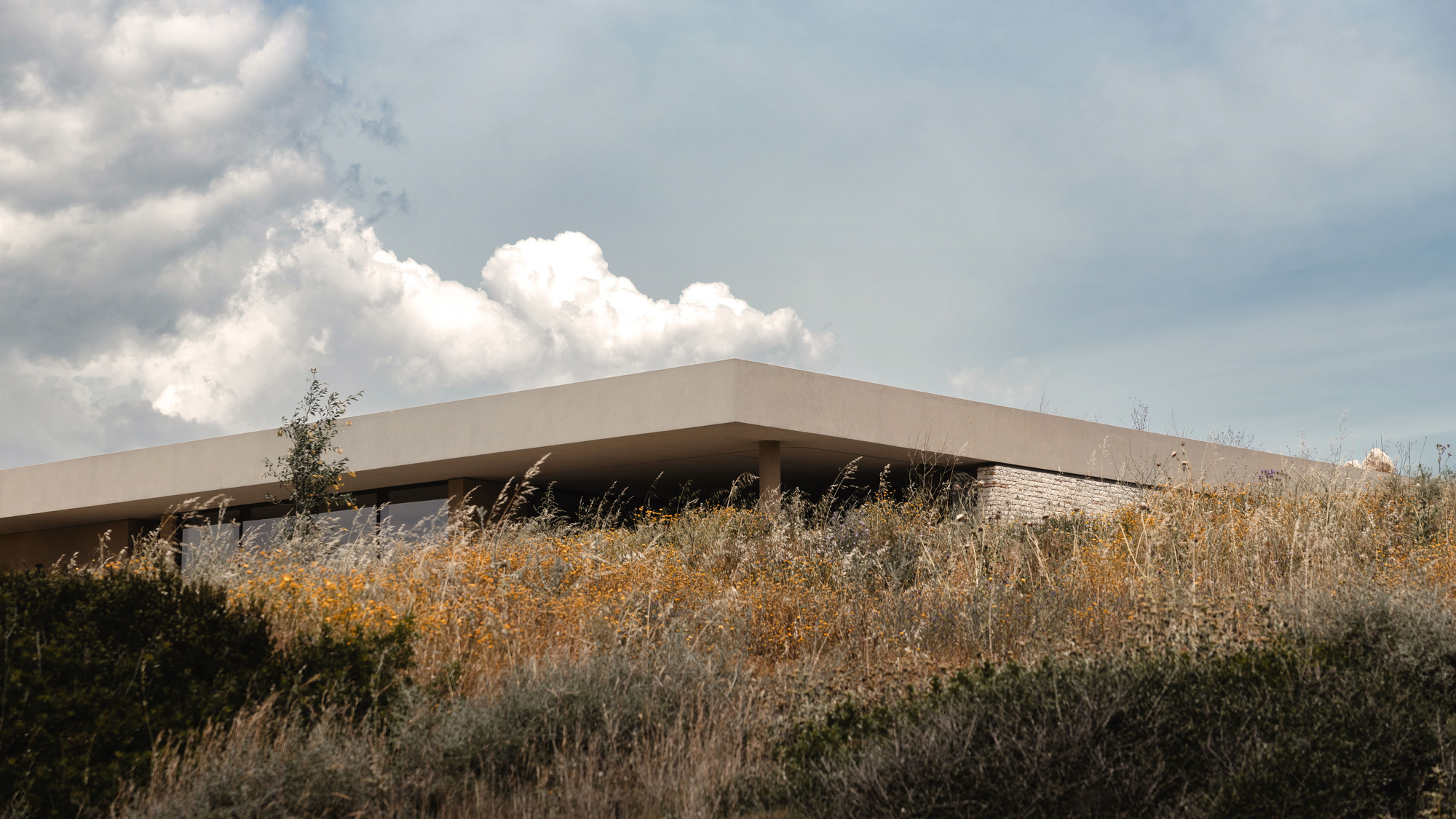 Low horizontal volume emerging from wild grasses beneath a cloudy sky