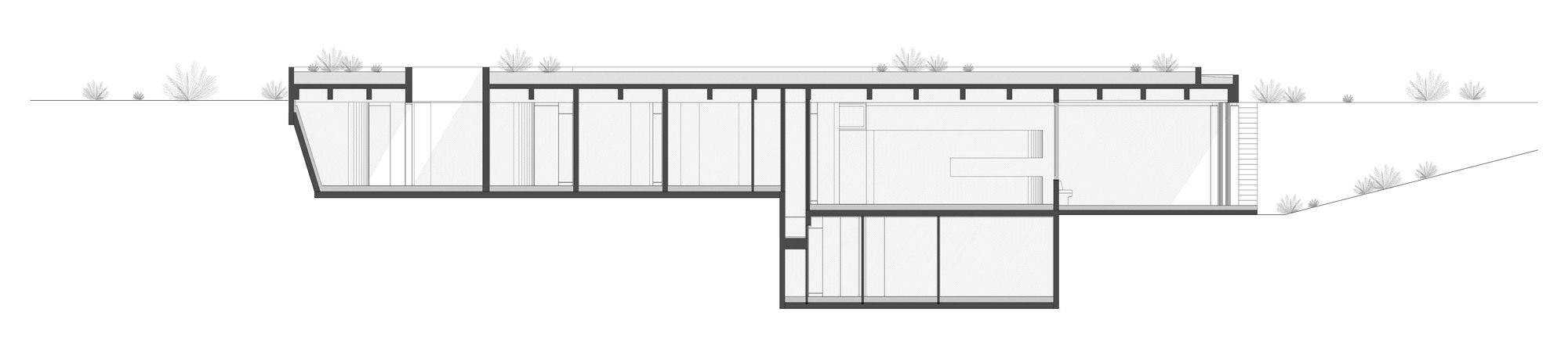 Section drawing revealing a partially sunken structure with stepped terrain and vegetation above