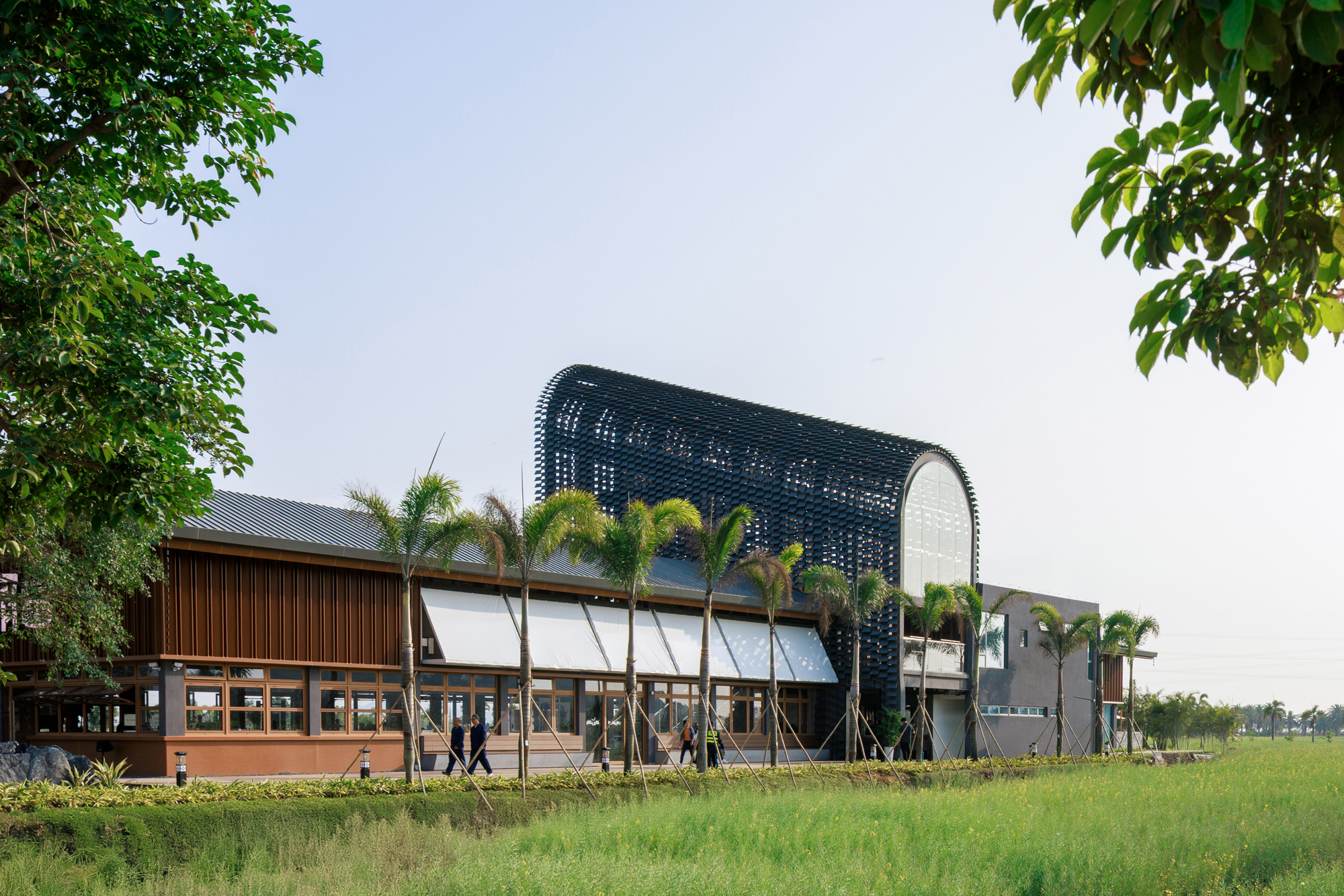 Arched volume with perforated dark cladding rising above timber pavilion and green field