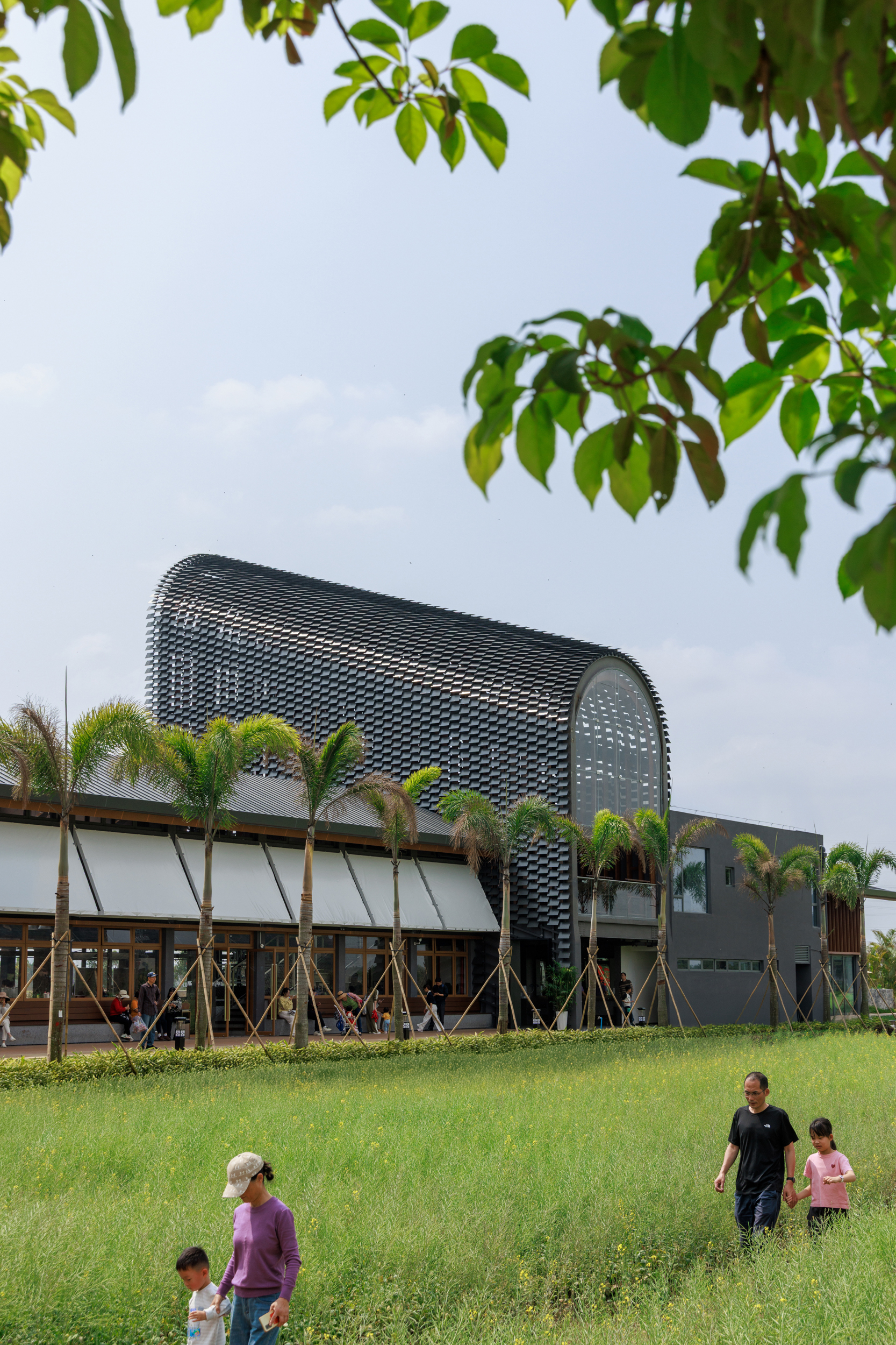 Perforated metal barrel vault rising above horizontal wing with palm trees and families on grassy lawn