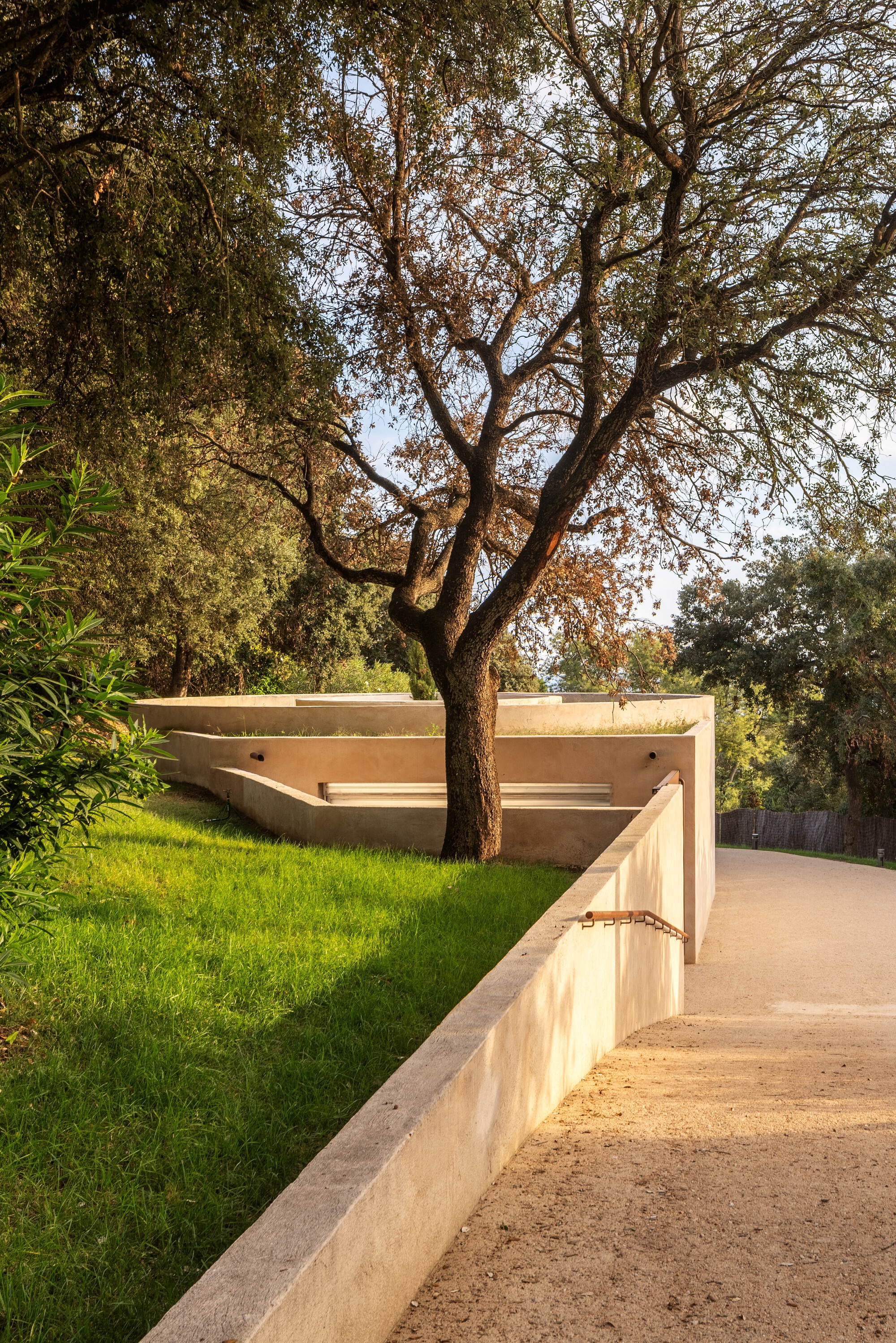 Walkway bordered by low sand-colored retaining walls and grassy slopes beneath an old tree