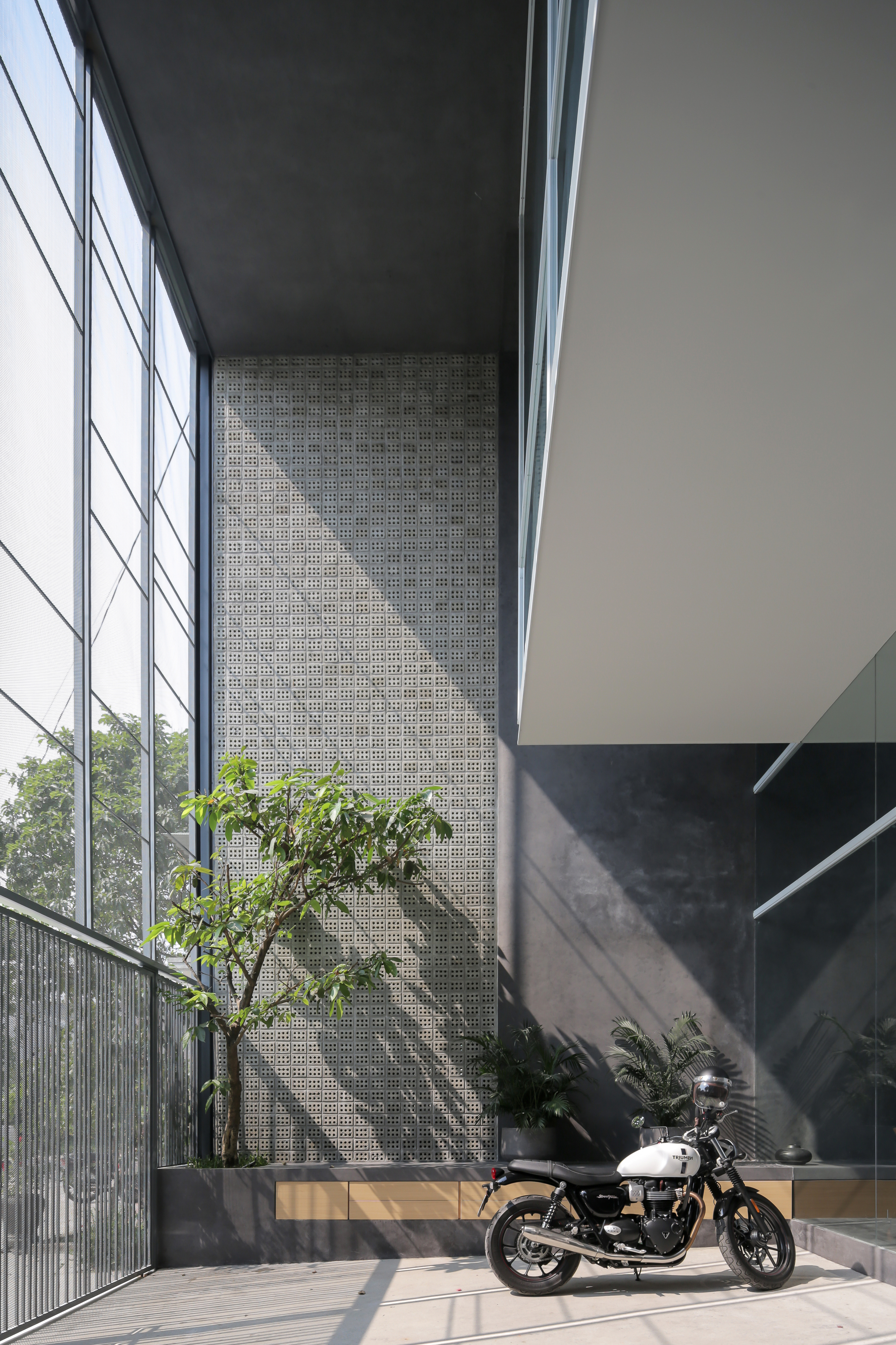 Courtyard terrace with perforated concrete screen wall and planted tree catching afternoon sunlight