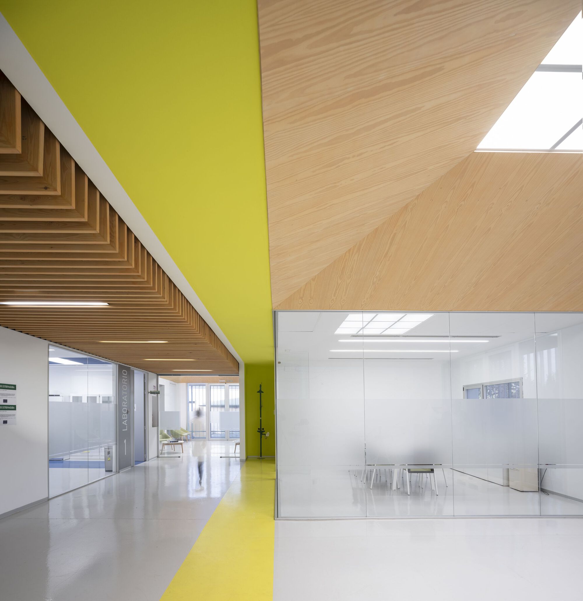 Interior corridor with yellow ceiling stripe, timber slat soffit, and skylights above a glass meeting room