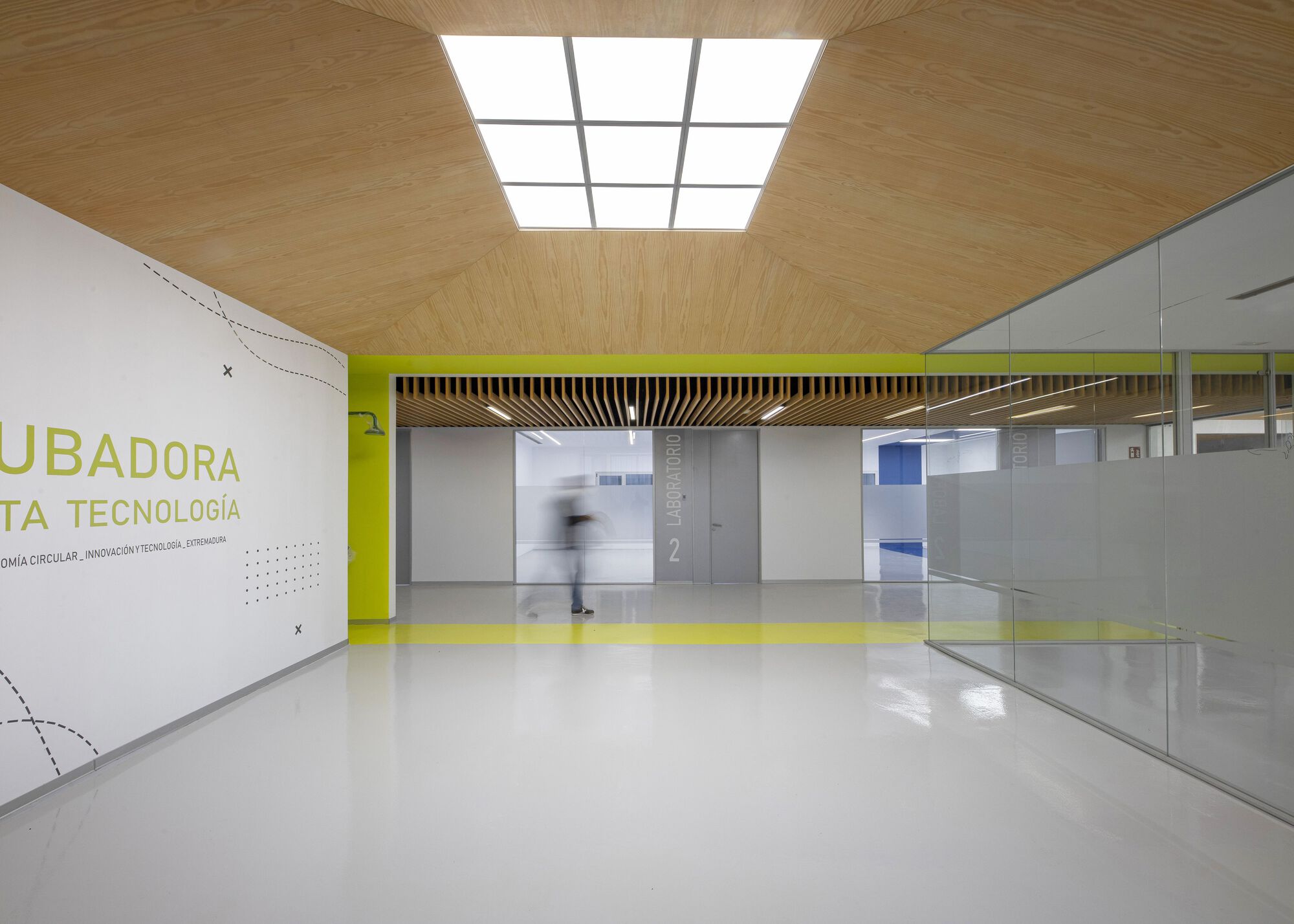 Interior corridor with timber slat ceiling, central skylight, yellow accent wall and glass-walled offices