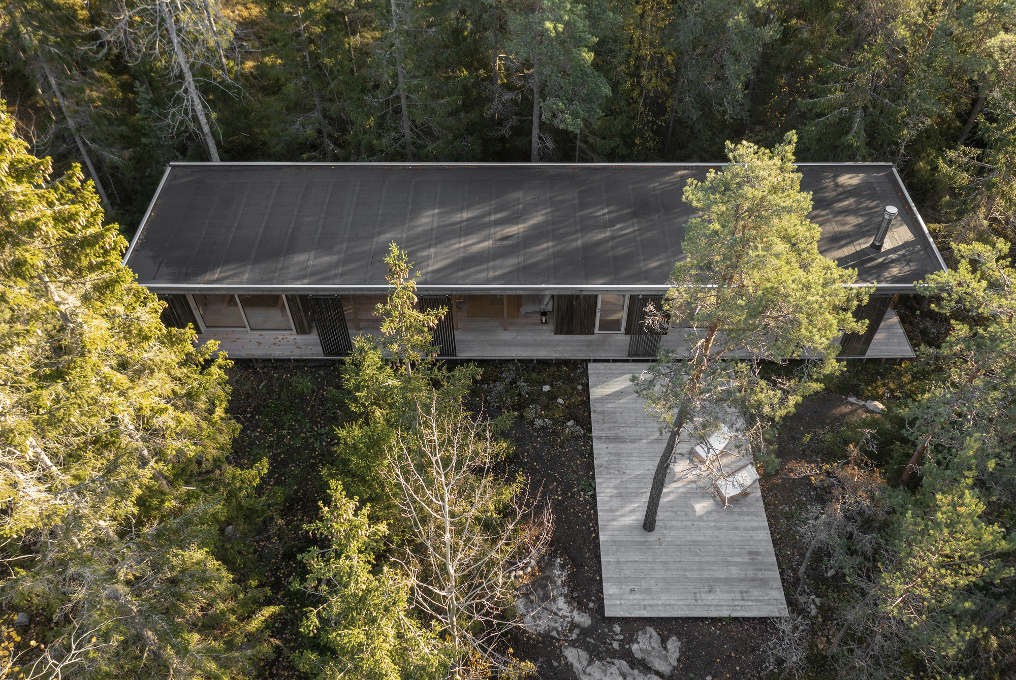 Aerial view of the gabled roof and timber boardwalk extending through the wooded site