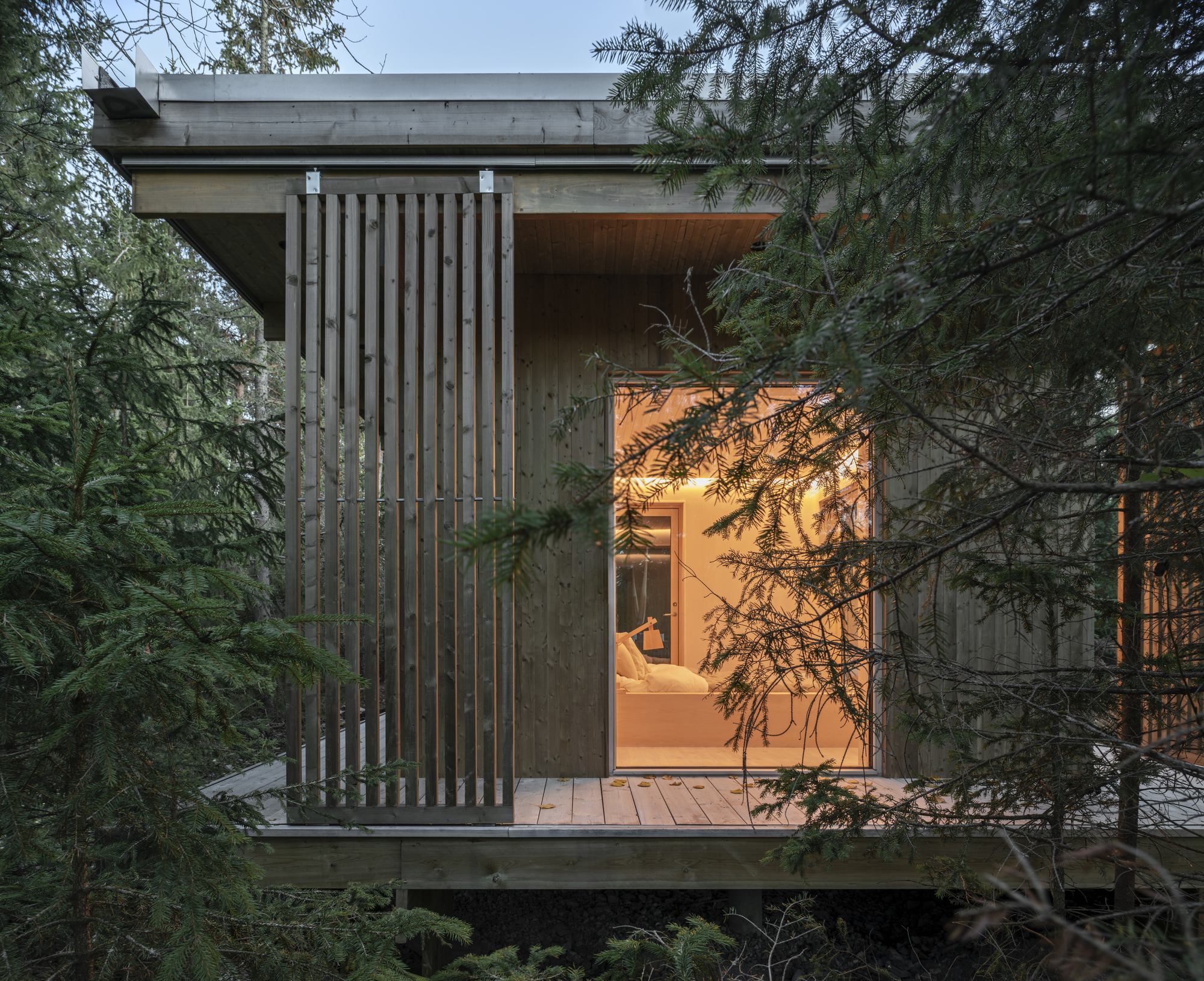 Corner module with vertical timber screen and glazed walls illuminated at dusk among conifers