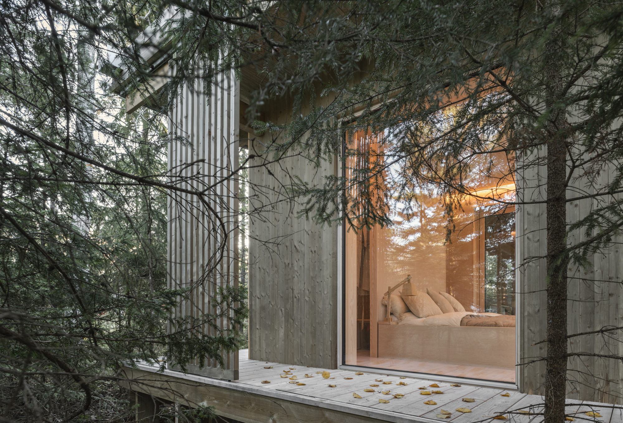 Timber deck scattered with autumn leaves leading to the glazed bedroom opening