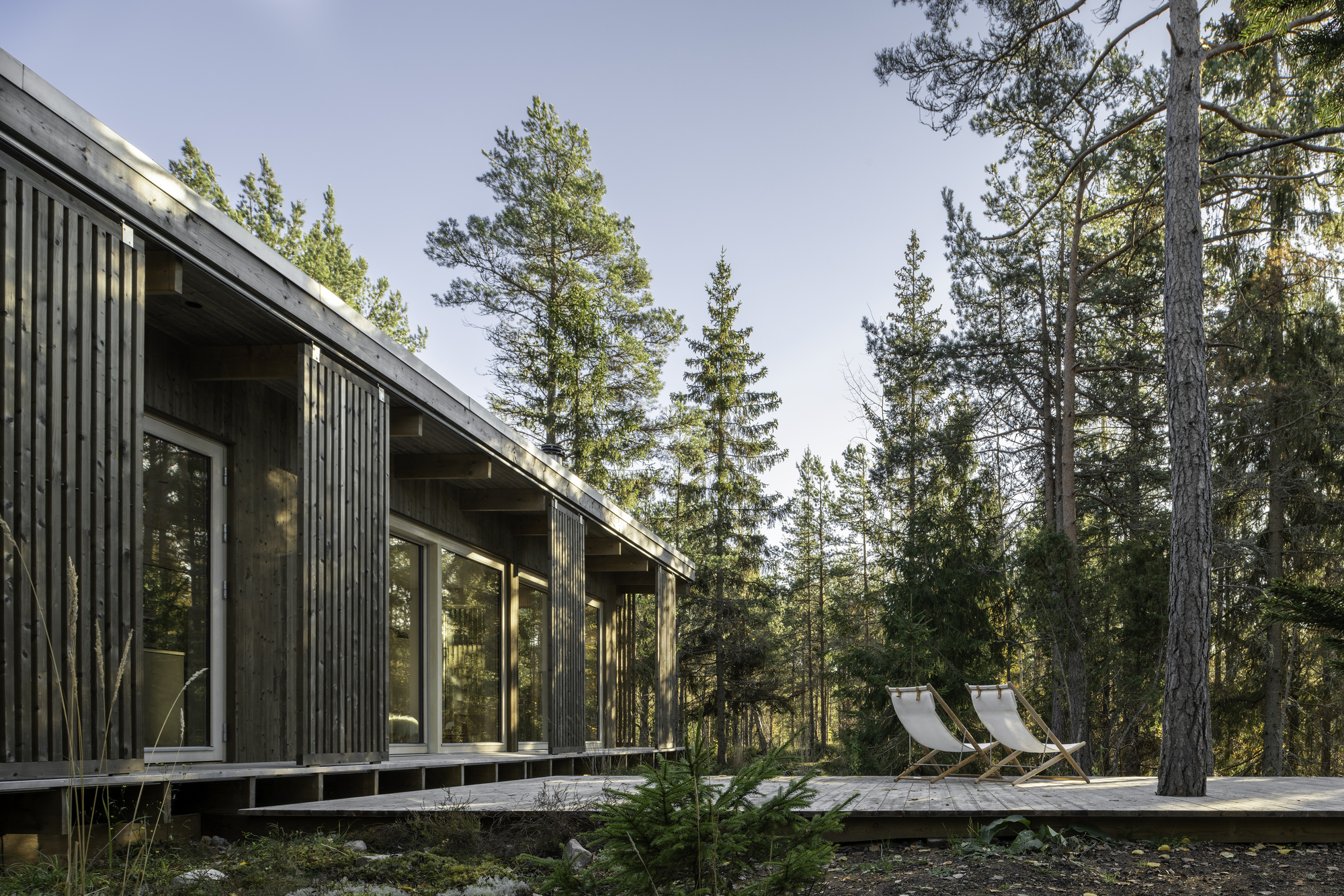 Exterior deck with two lounge chairs nestled among tall pines in afternoon light