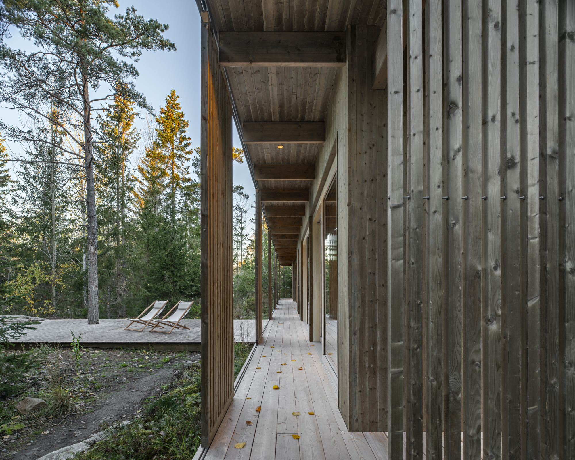 Covered timber walkway with vertical slatted screens and autumn leaves scattered on the decking