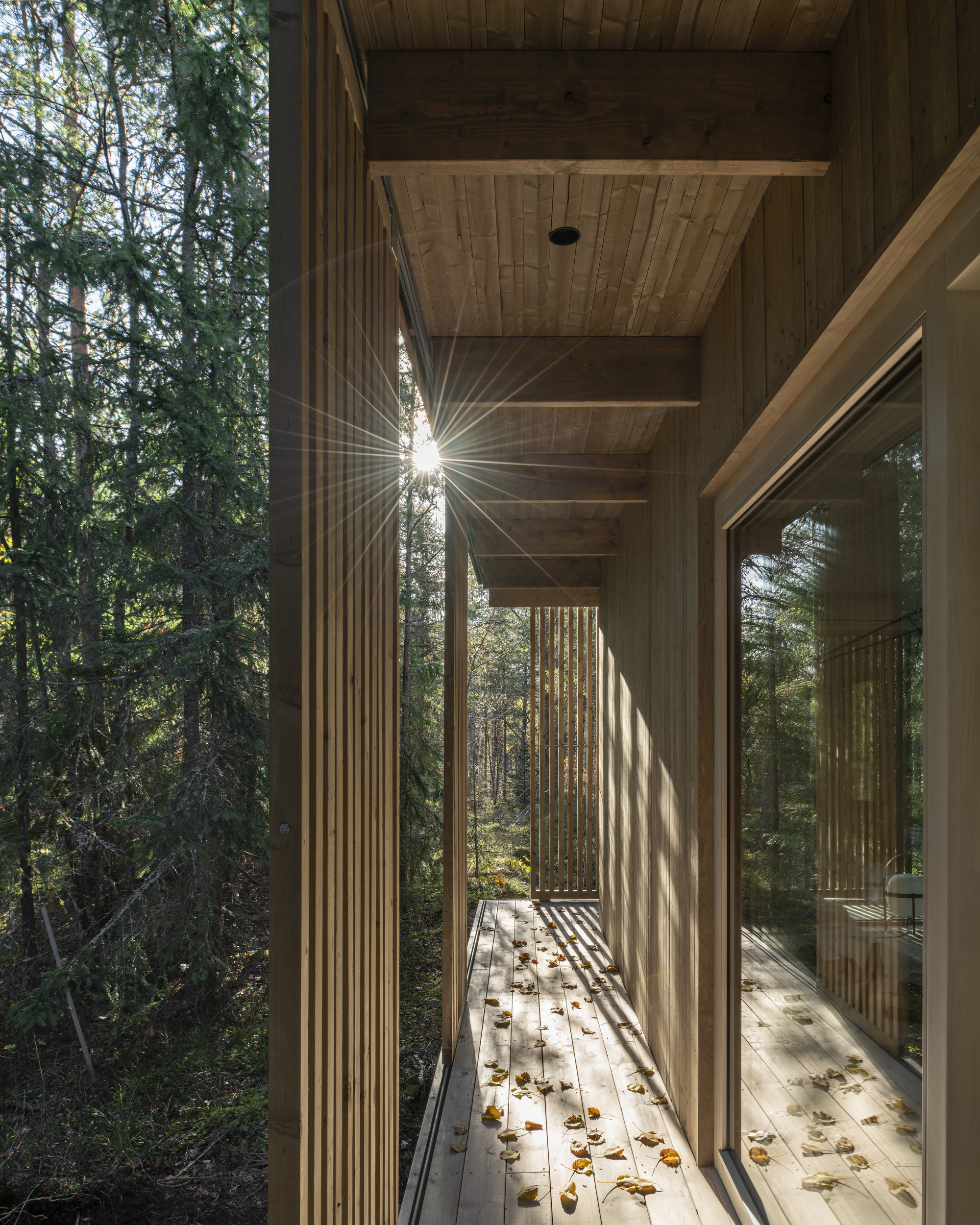 Narrow wooden corridor framing low sunlight through surrounding coniferous forest trees