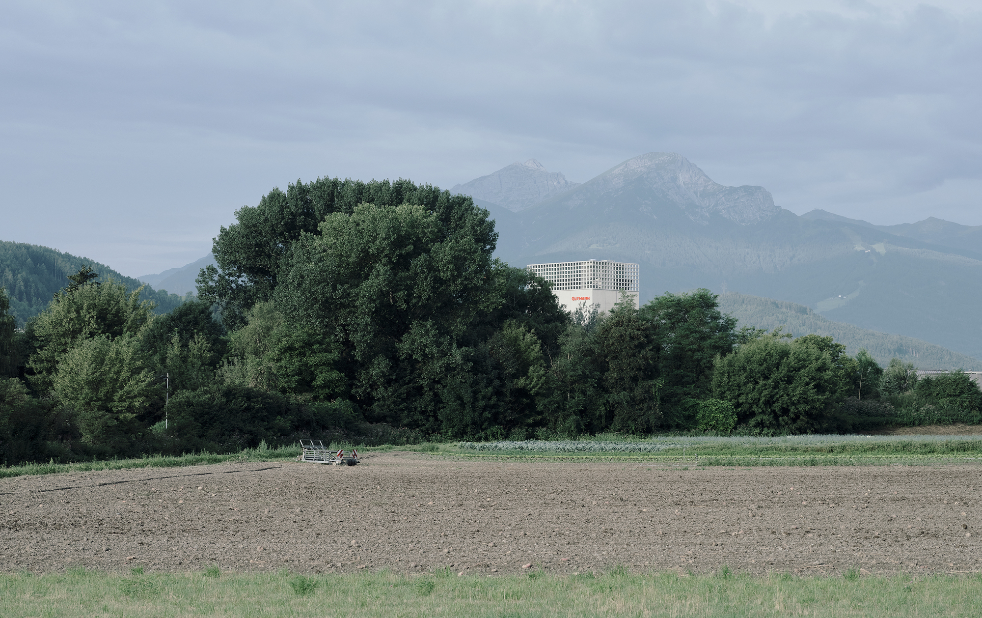 Distant view of the tower with latticed crown emerging behind dense tree line and plowed fields