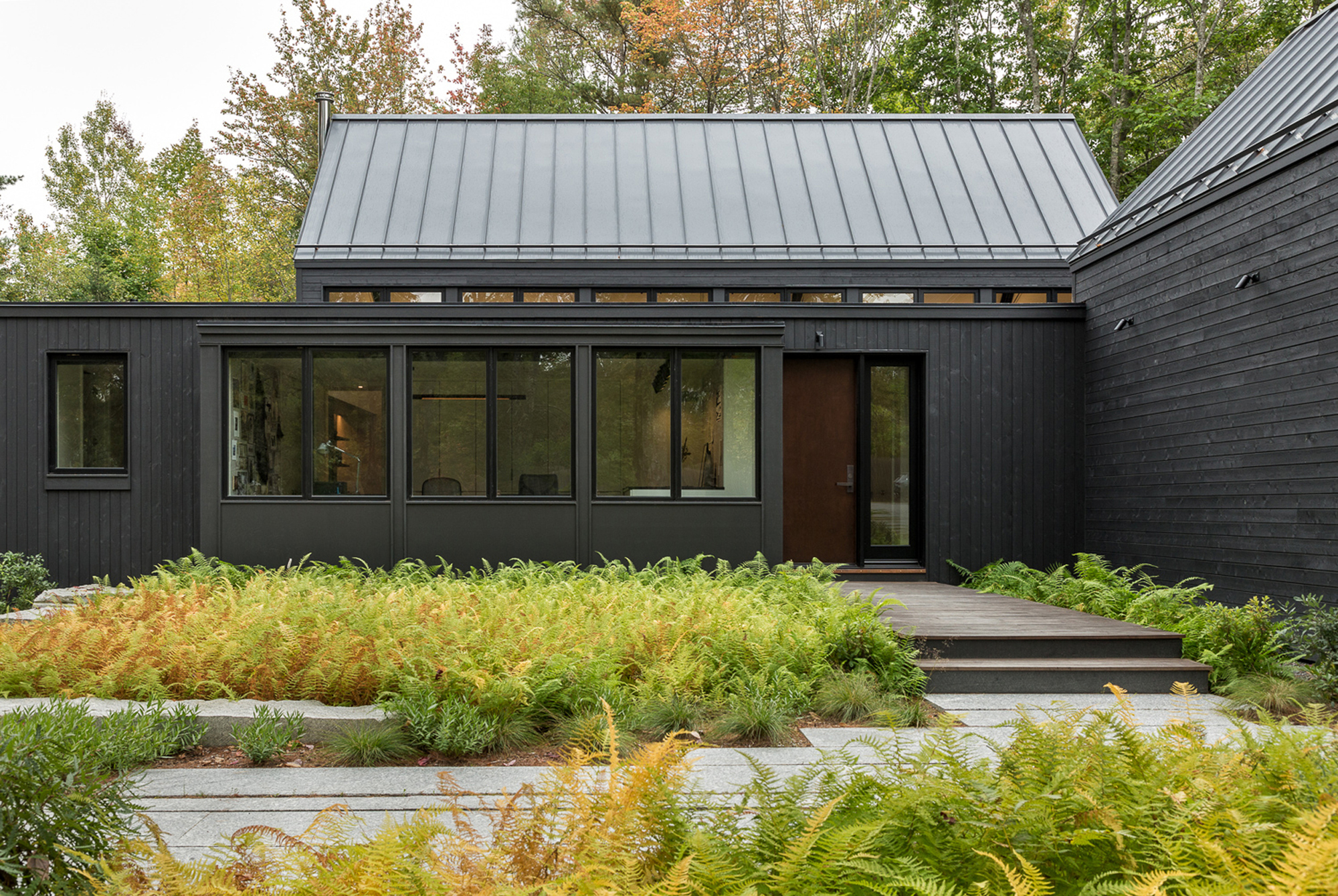 Entry elevation with charred timber cladding and stone pavers surrounded by ferns and ornamental grasses