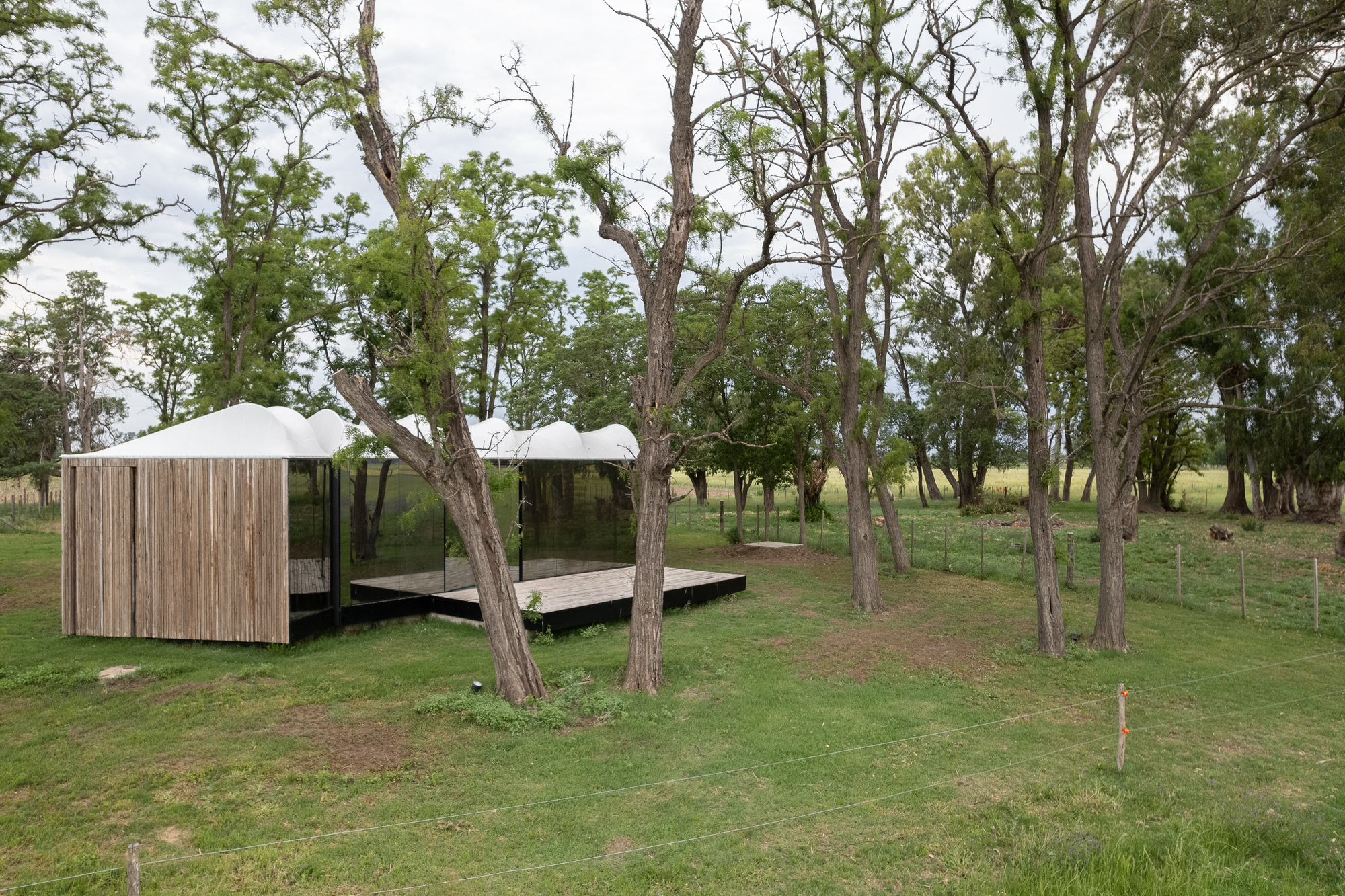 Two timber-clad pavilions connected by a deck nestled between existing trees under overcast skies